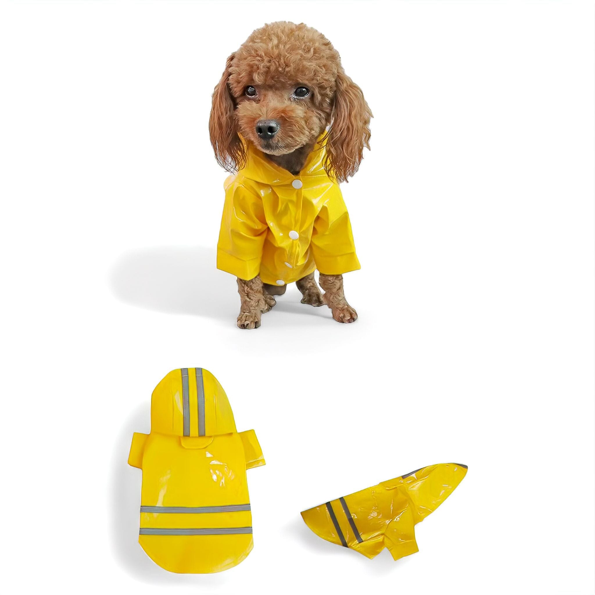 Rain Guard Luxe Pet Store Yellow S 