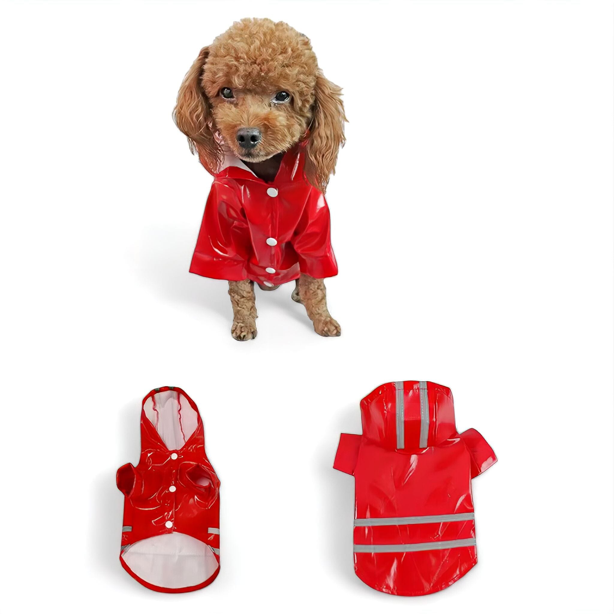 Rain Guard Luxe Pet Store Red S 