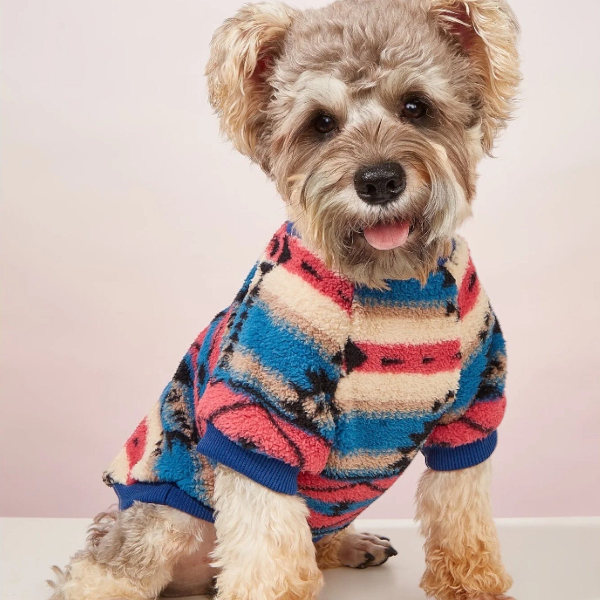 The Sweatshirt Luxe Pet Store 