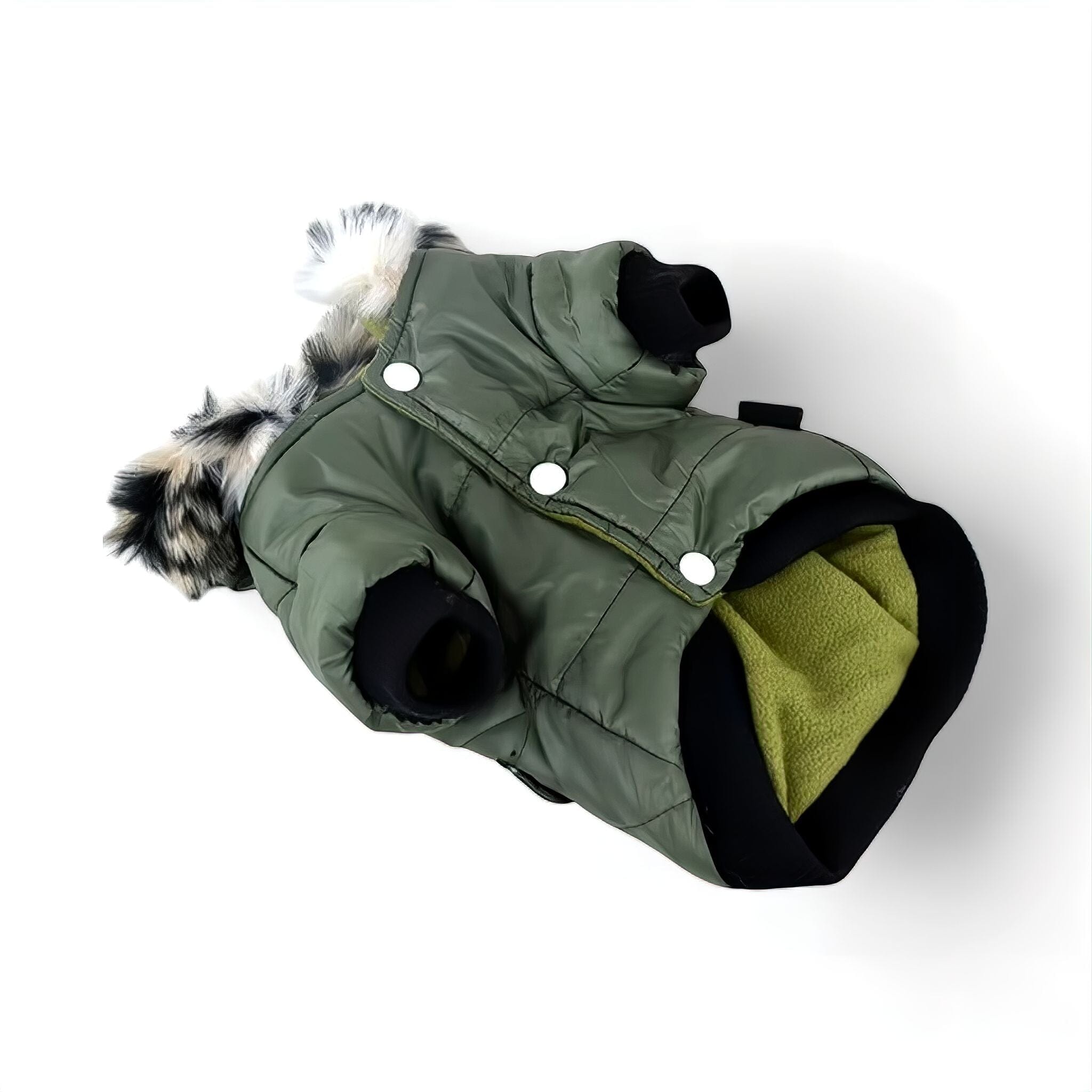 Warm Winter Coat Luxe Pet Store Green XS 