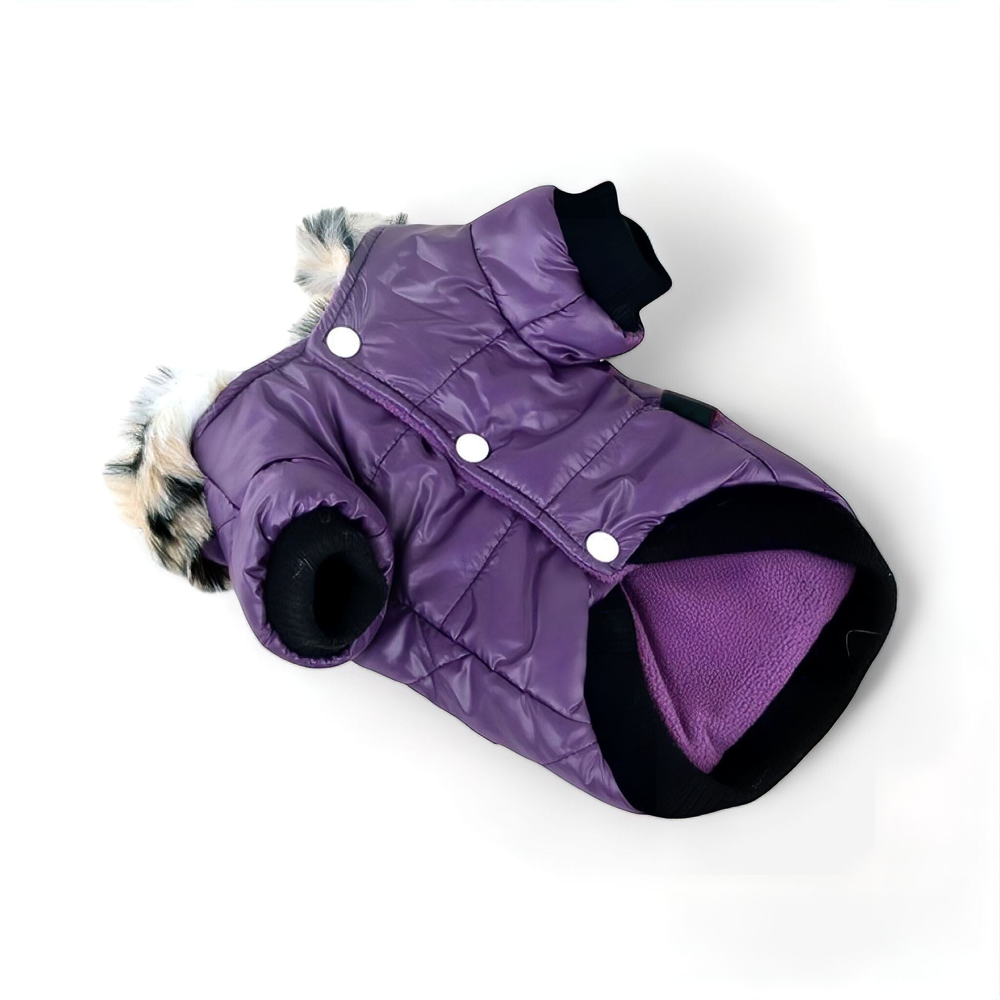 Warm Winter Coat Luxe Pet Store Purple XS 