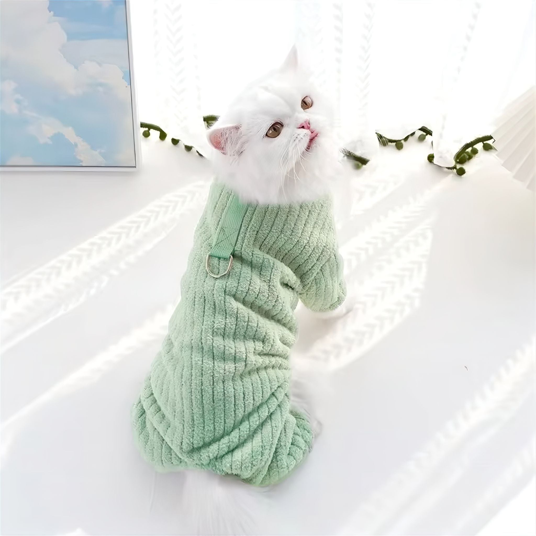 Winter Pet Jumpsuit Luxe Pet Store 