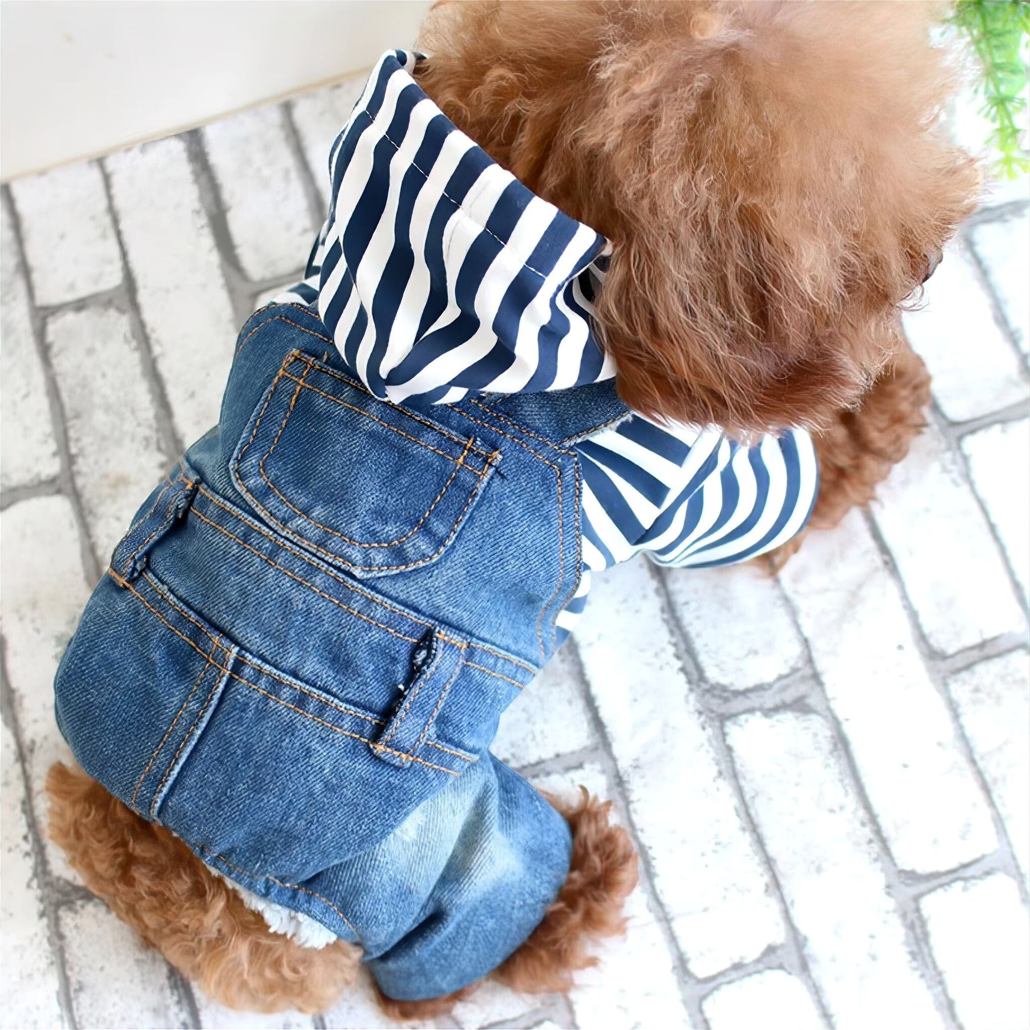 Denim Jumpsuit Luxe Pet Store 