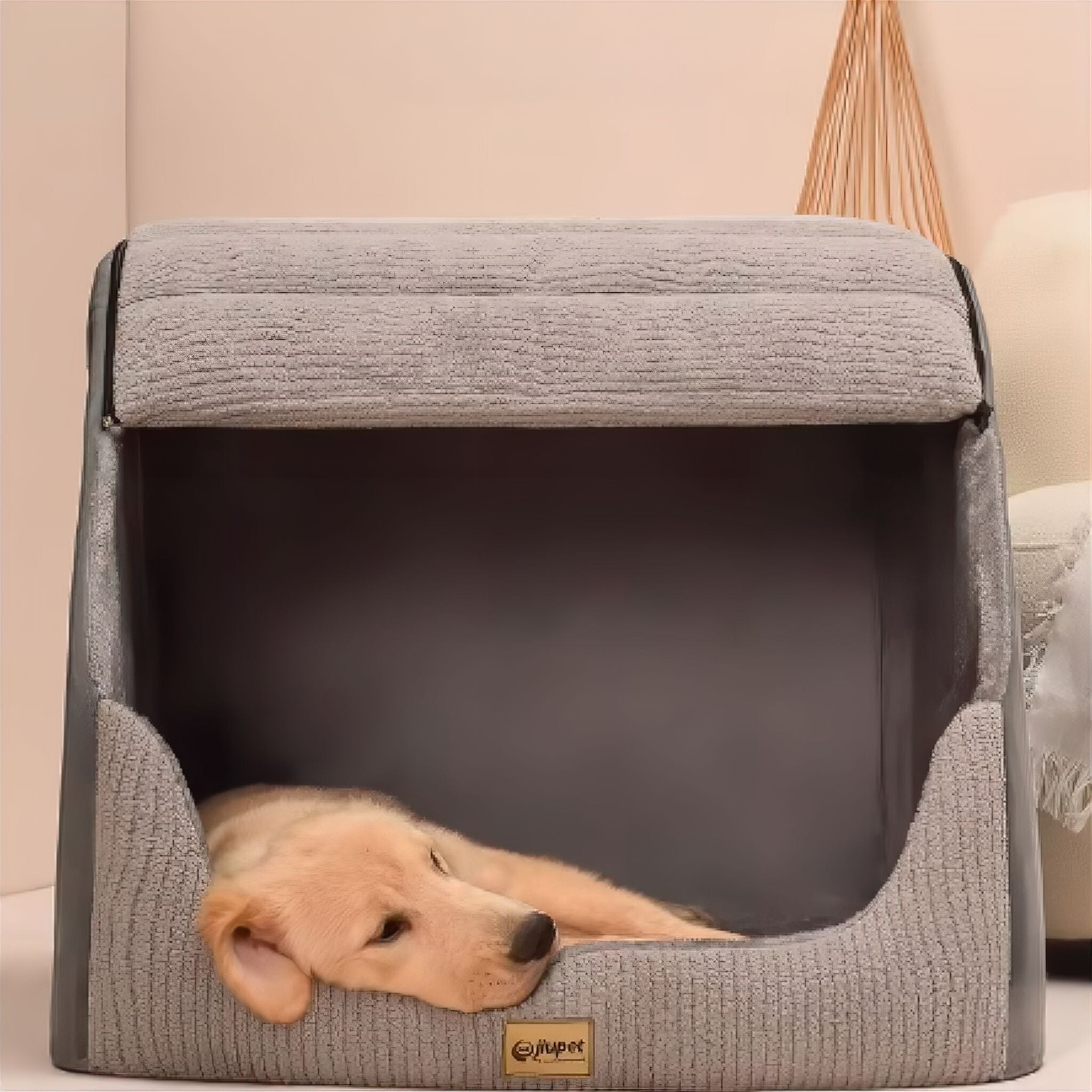 Chill-Out Kennel Luxe Pet Store 