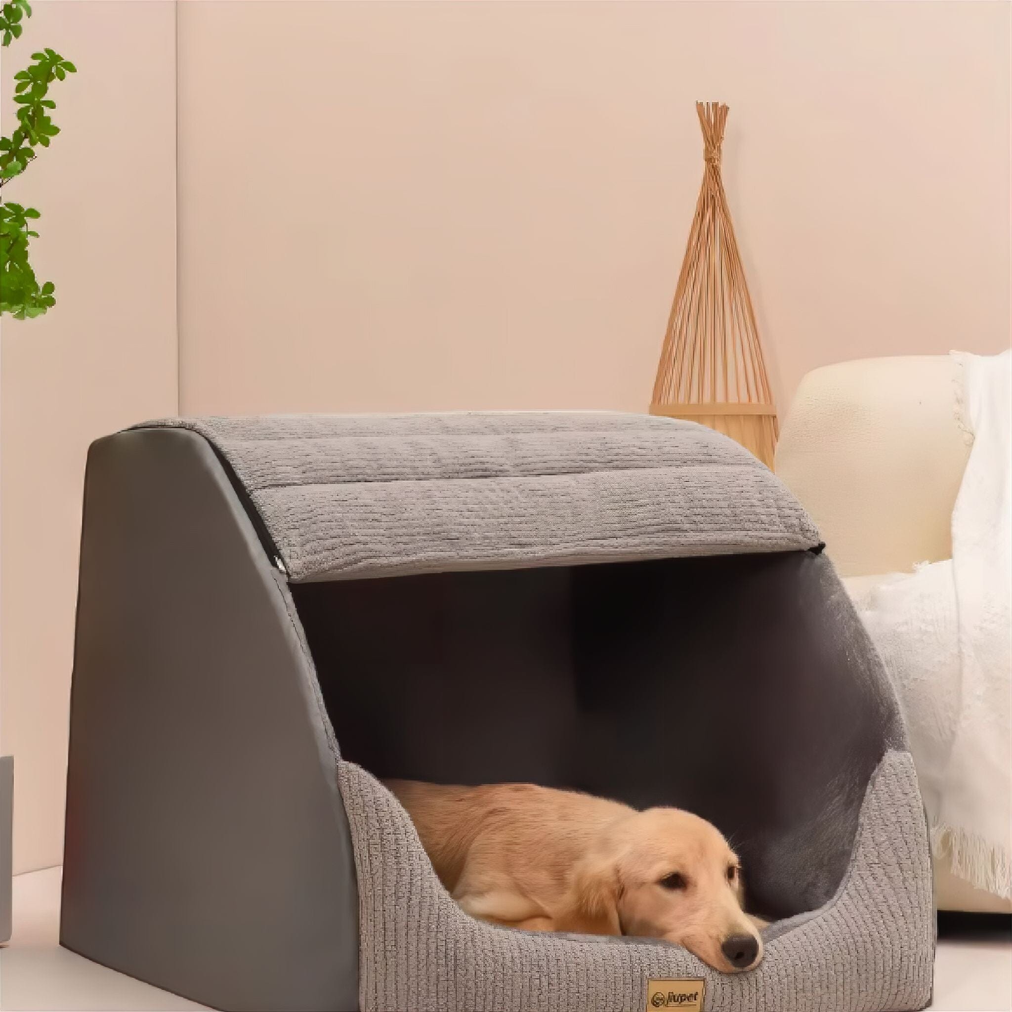 Chill-Out Kennel Luxe Pet Store 