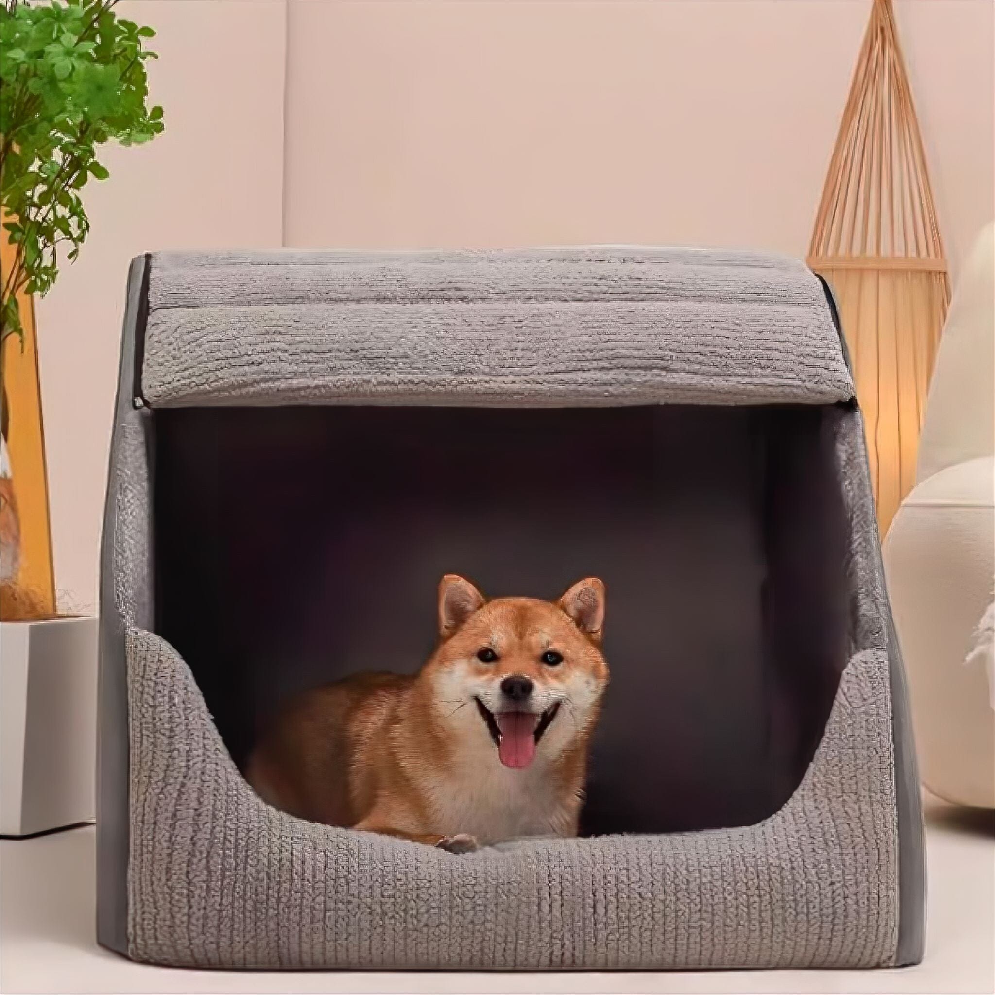 Chill-Out Kennel Luxe Pet Store 