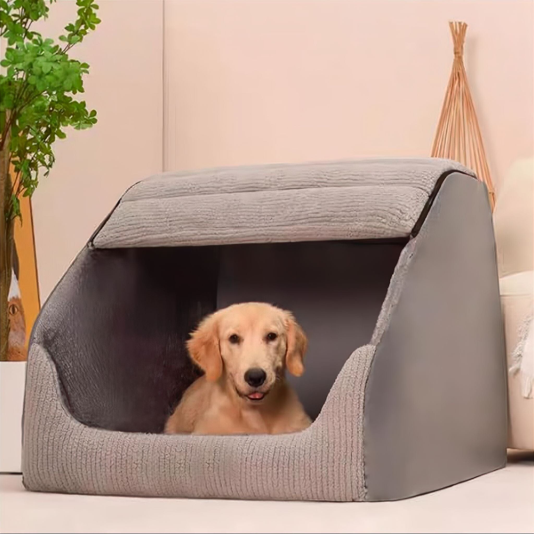 Chill-Out Kennel Luxe Pet Store 