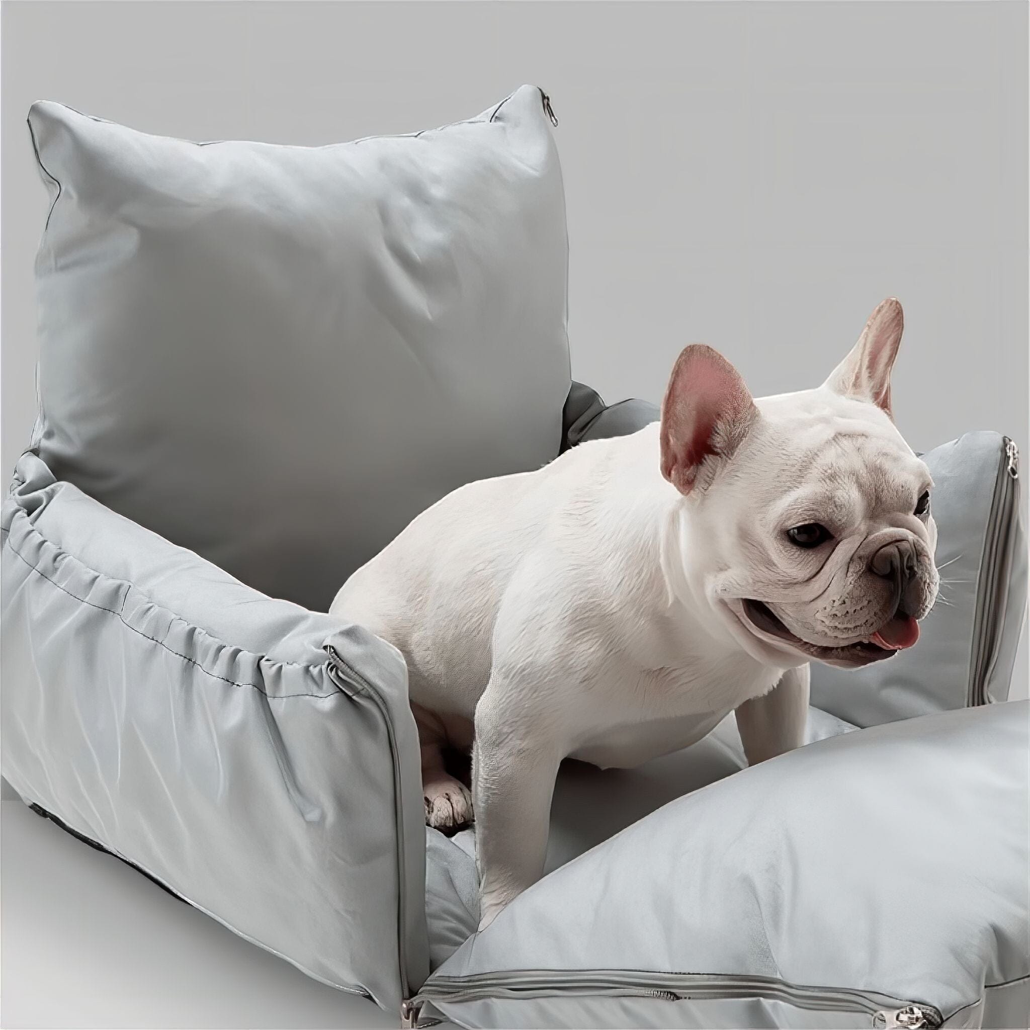 Car Buddy Bed Luxe Pet Store | Tiny. Pure. Love. 