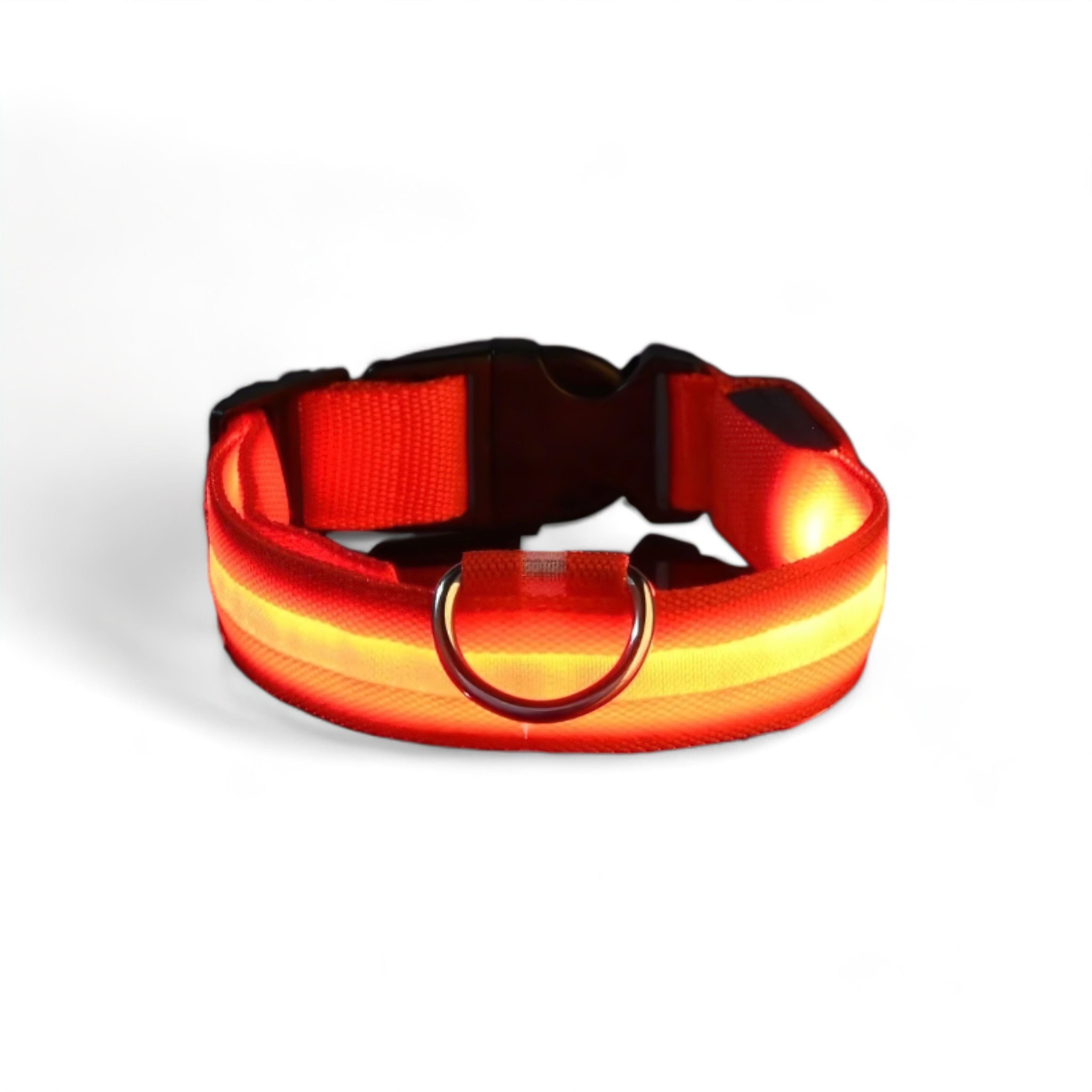 Luminous Dog Collar Luxe Pet Store | Tiny. Pure. Love. Red XS 