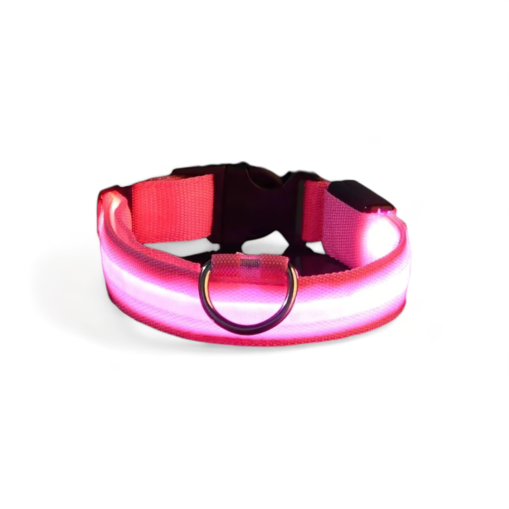 Luminous Dog Collar Luxe Pet Store | Tiny. Pure. Love. Pink XS 