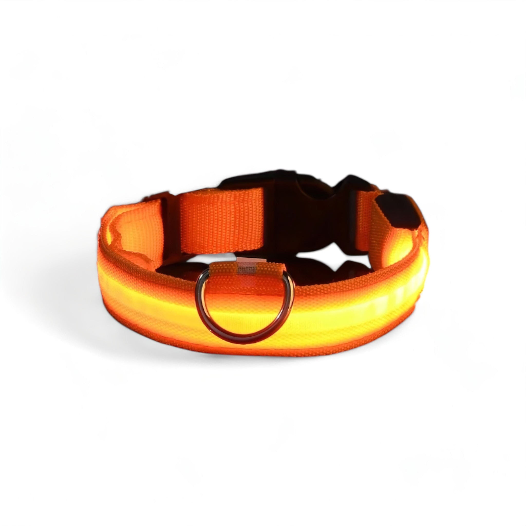 Luminous Dog Collar Luxe Pet Store | Tiny. Pure. Love. Orange XS 