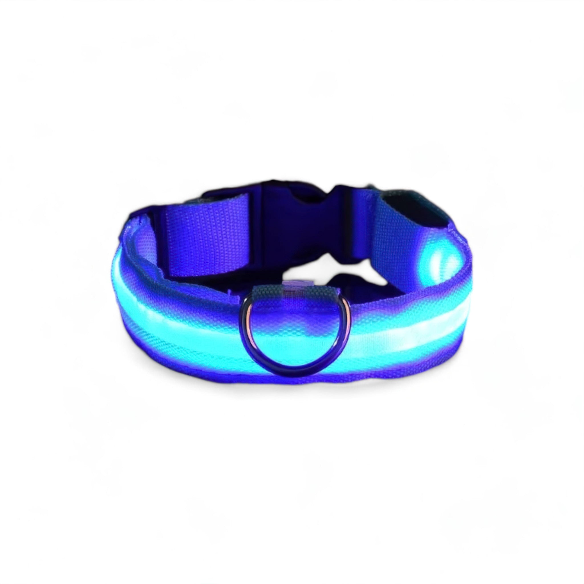 Luminous Dog Collar Luxe Pet Store | Tiny. Pure. Love. Blue XS 