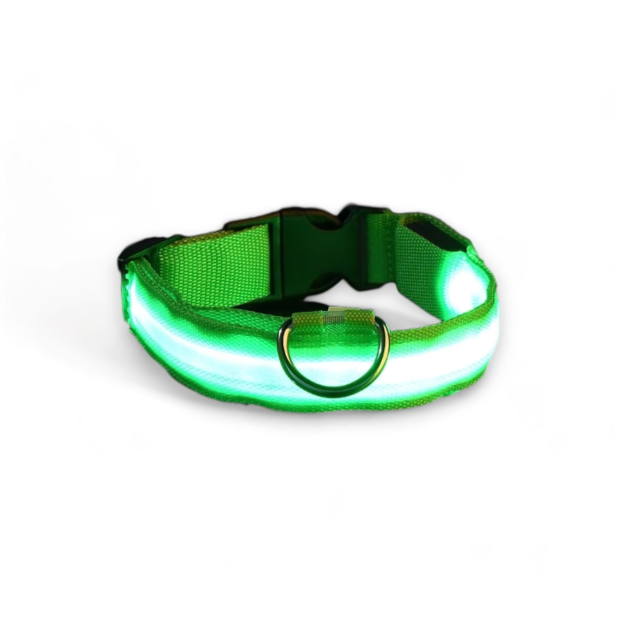 Luminous Dog Collar Luxe Pet Store | Tiny. Pure. Love. Green XS 