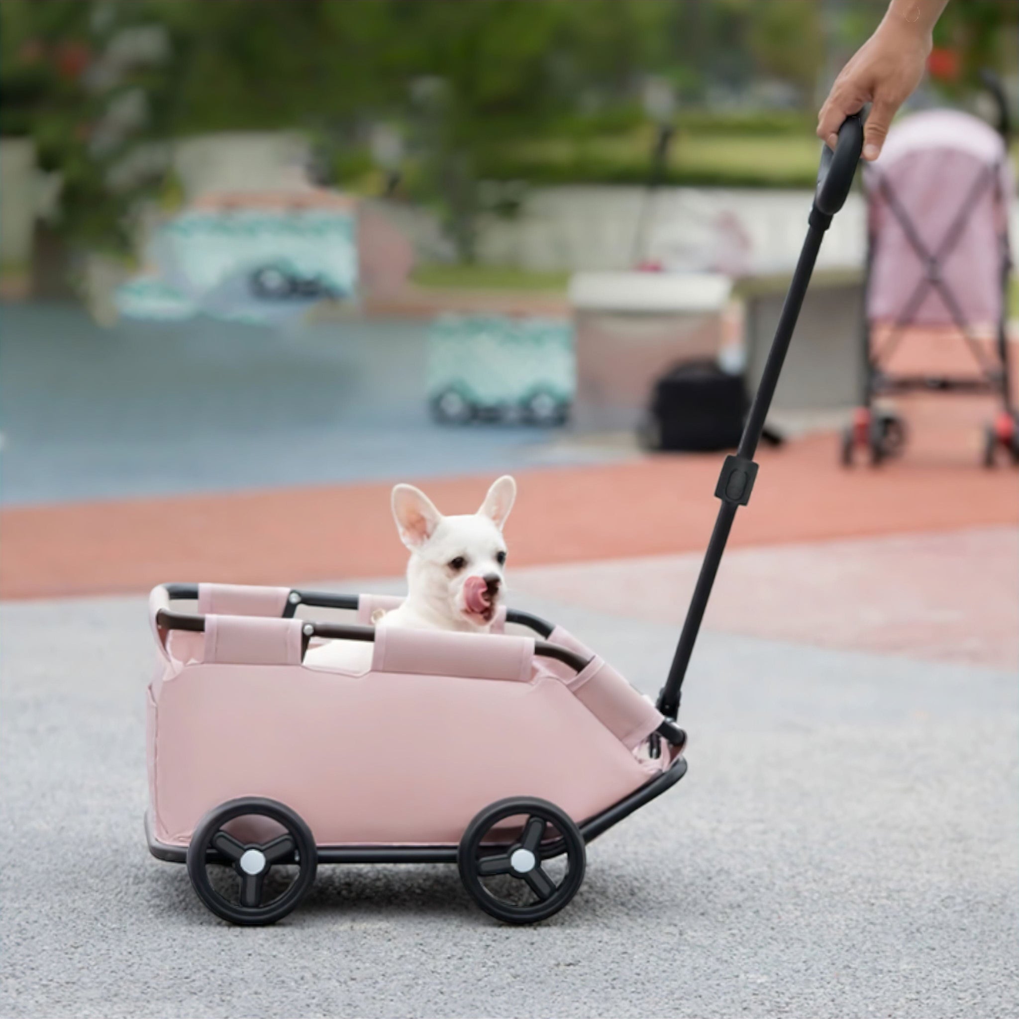 Stroll Pet Cart Luxe Pet Store | Tiny. Pure. Love. 