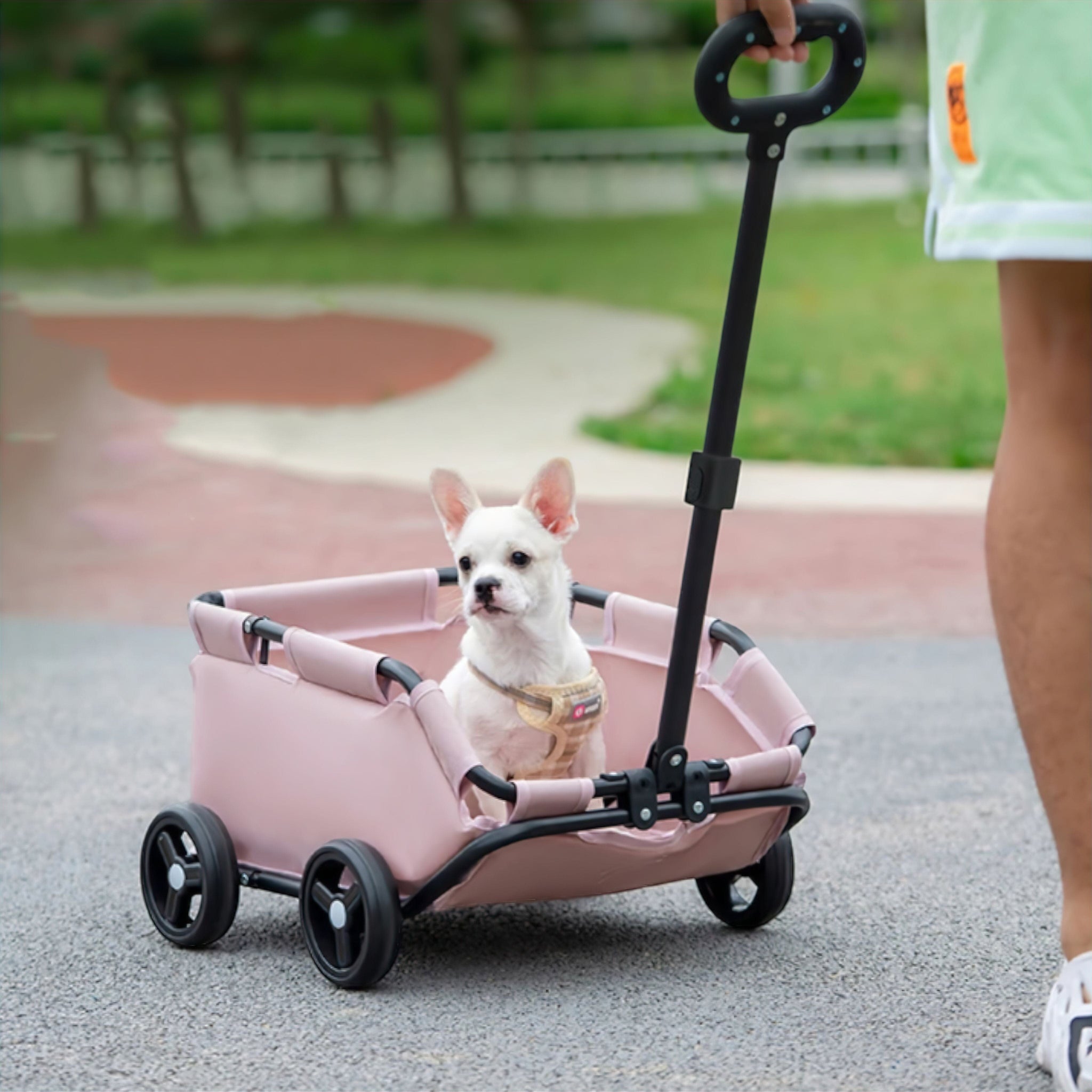 Stroll Pet Cart Luxe Pet Store | Tiny. Pure. Love. 