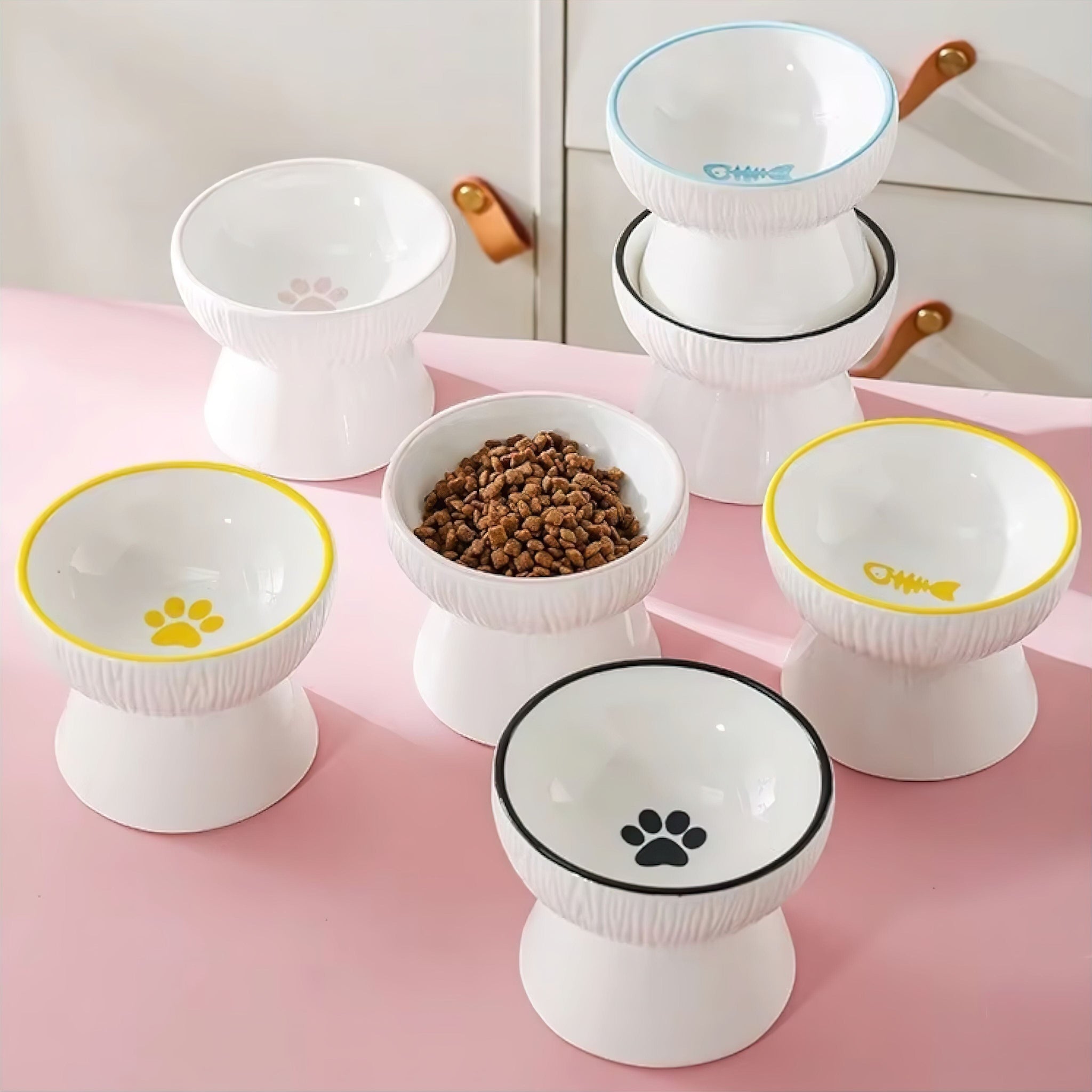 Cuddle Kitty Cup Luxe Pet Store | Tiny. Pure. Love. 