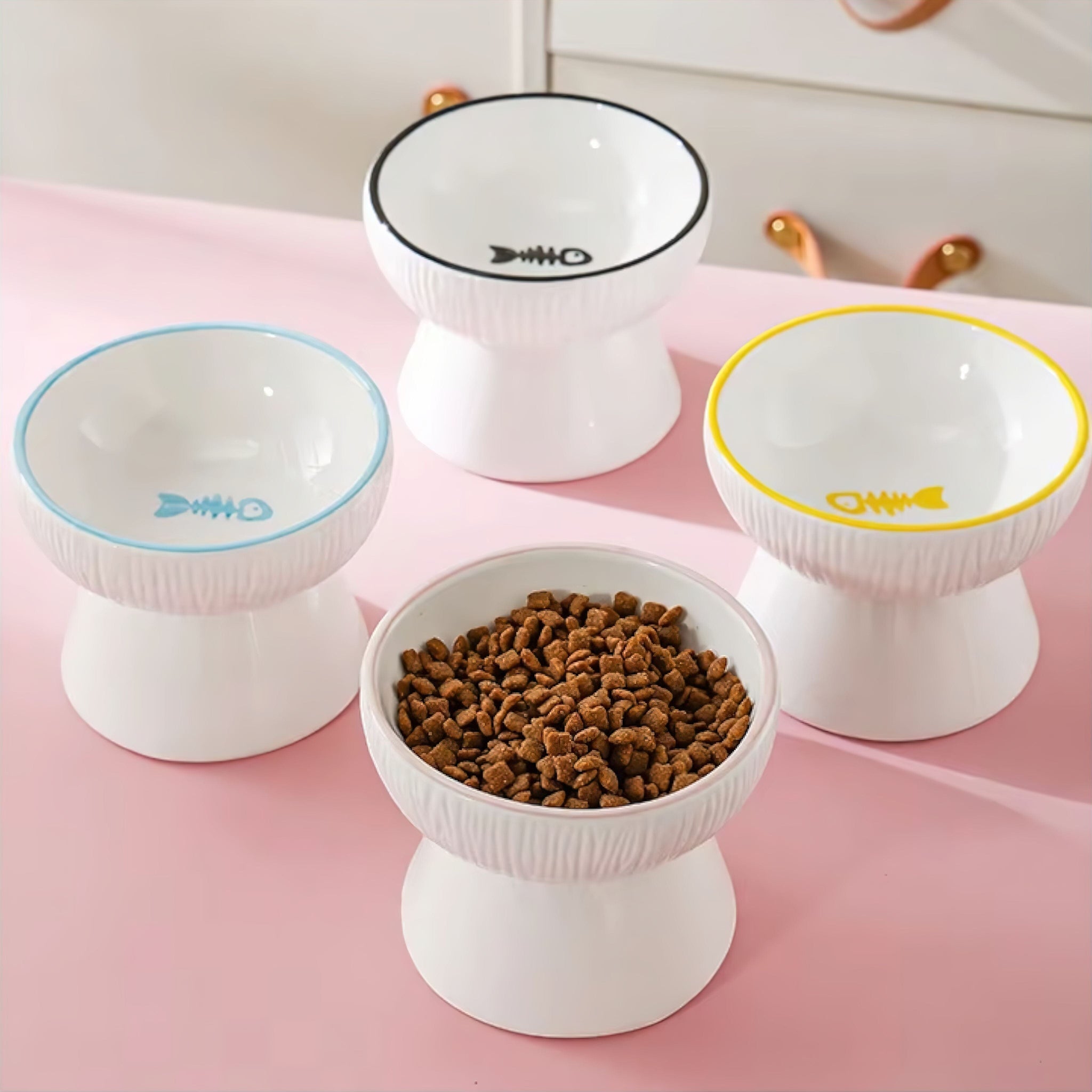 Cuddle Kitty Cup Luxe Pet Store | Tiny. Pure. Love. 