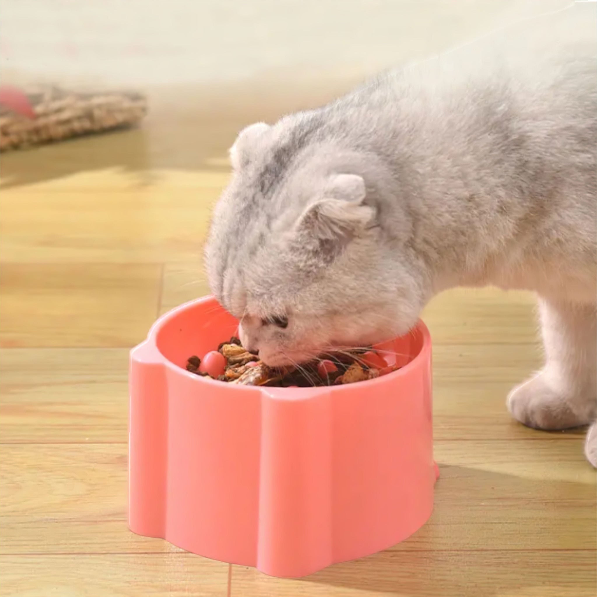 Glow Paw Bowl Luxe Pet Store | Tiny. Pure. Love. 