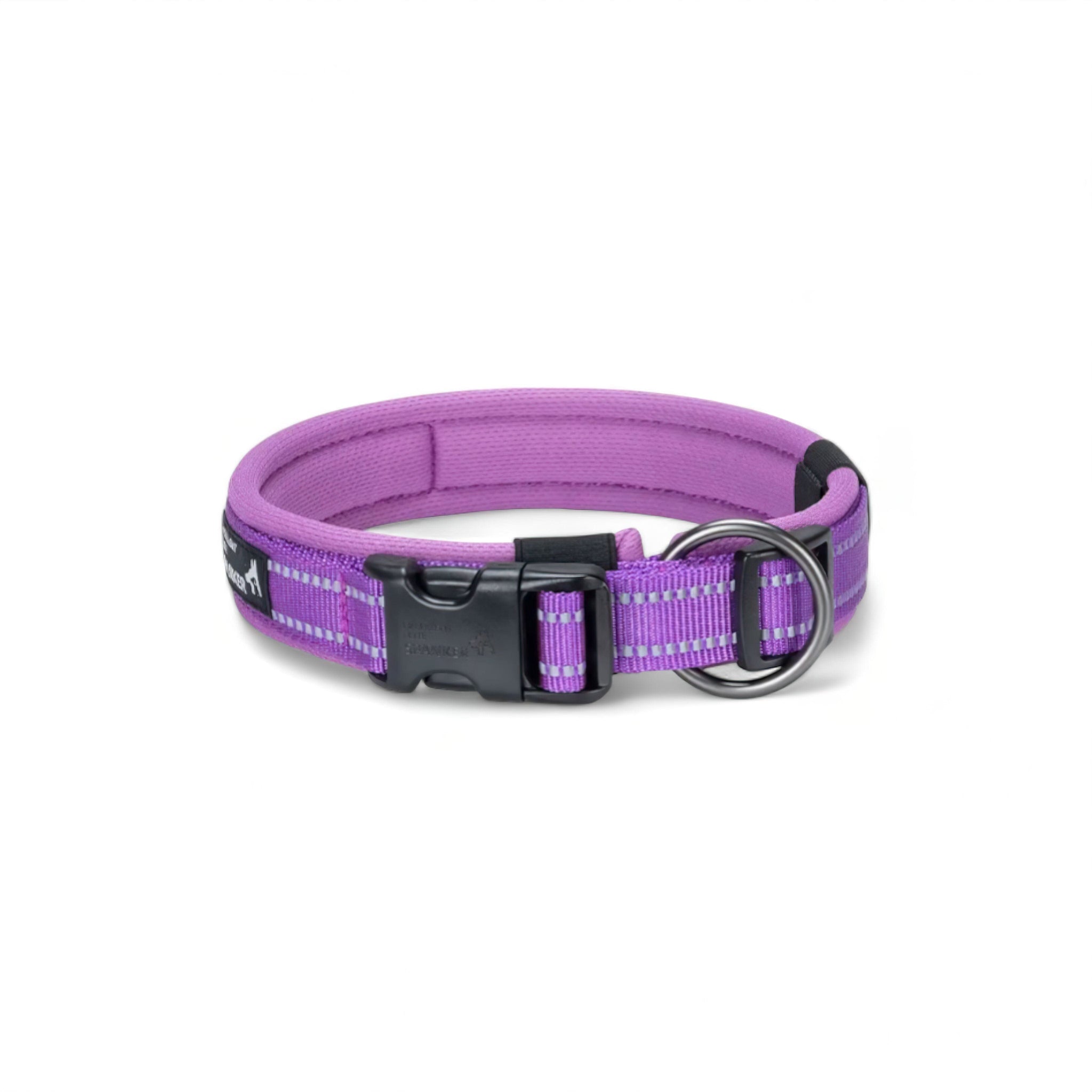 Shine Collars Luxe Pet Store | Tiny. Pure. Love. Purple S 