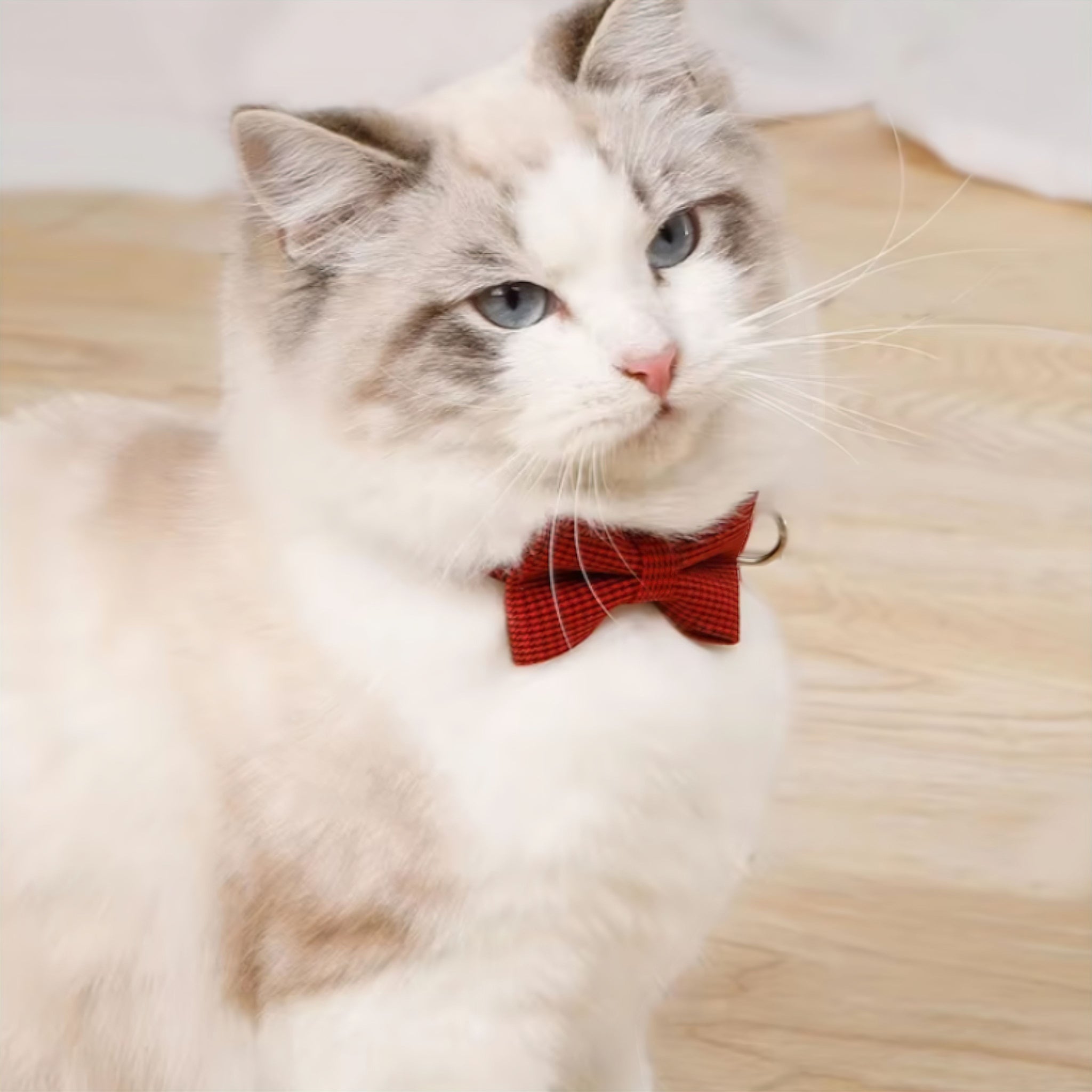 Kitty Bow Tie