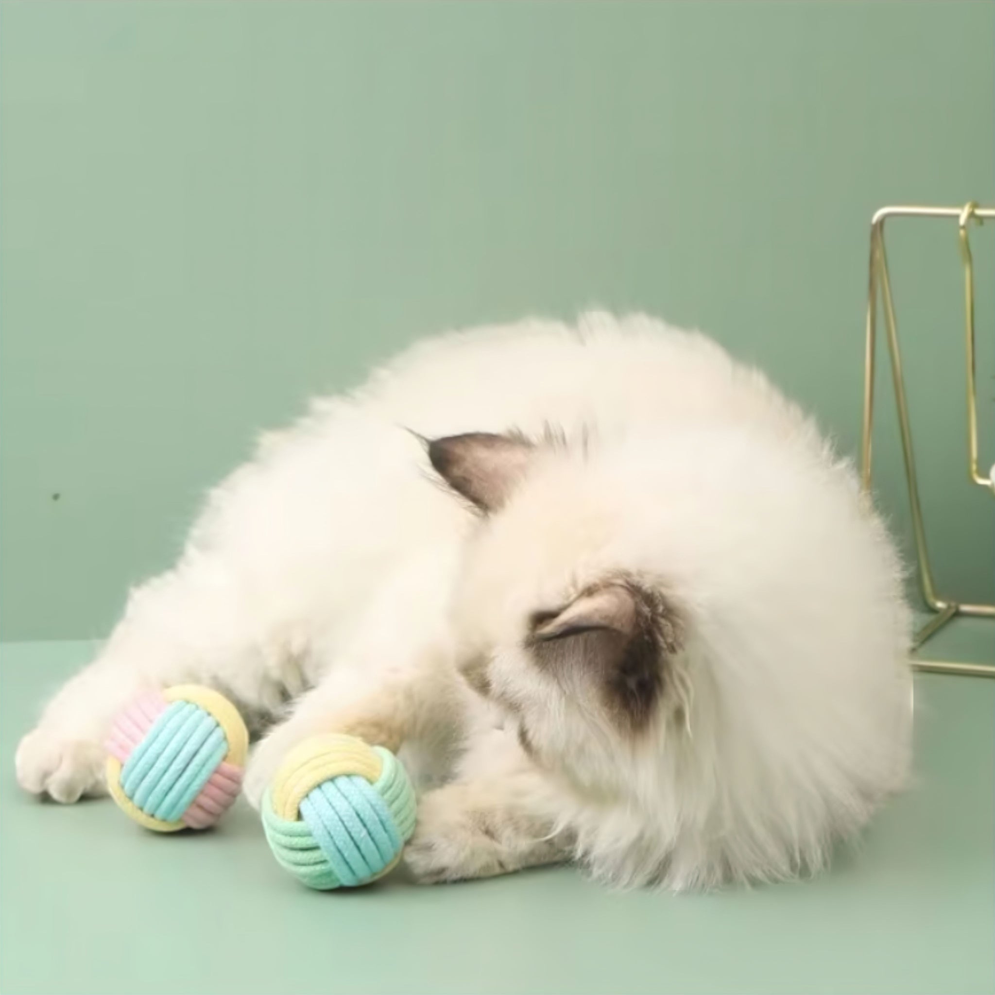 Fun Cotton Ball Luxe Pet Store | Tiny. Pure. Love. 