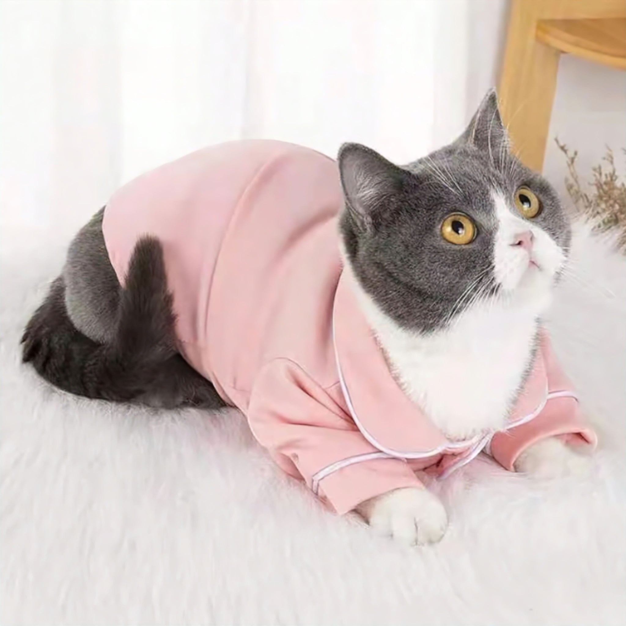 Hush Pet Sleepwear Luxe Pet Store | Tiny. Pure. Love. 