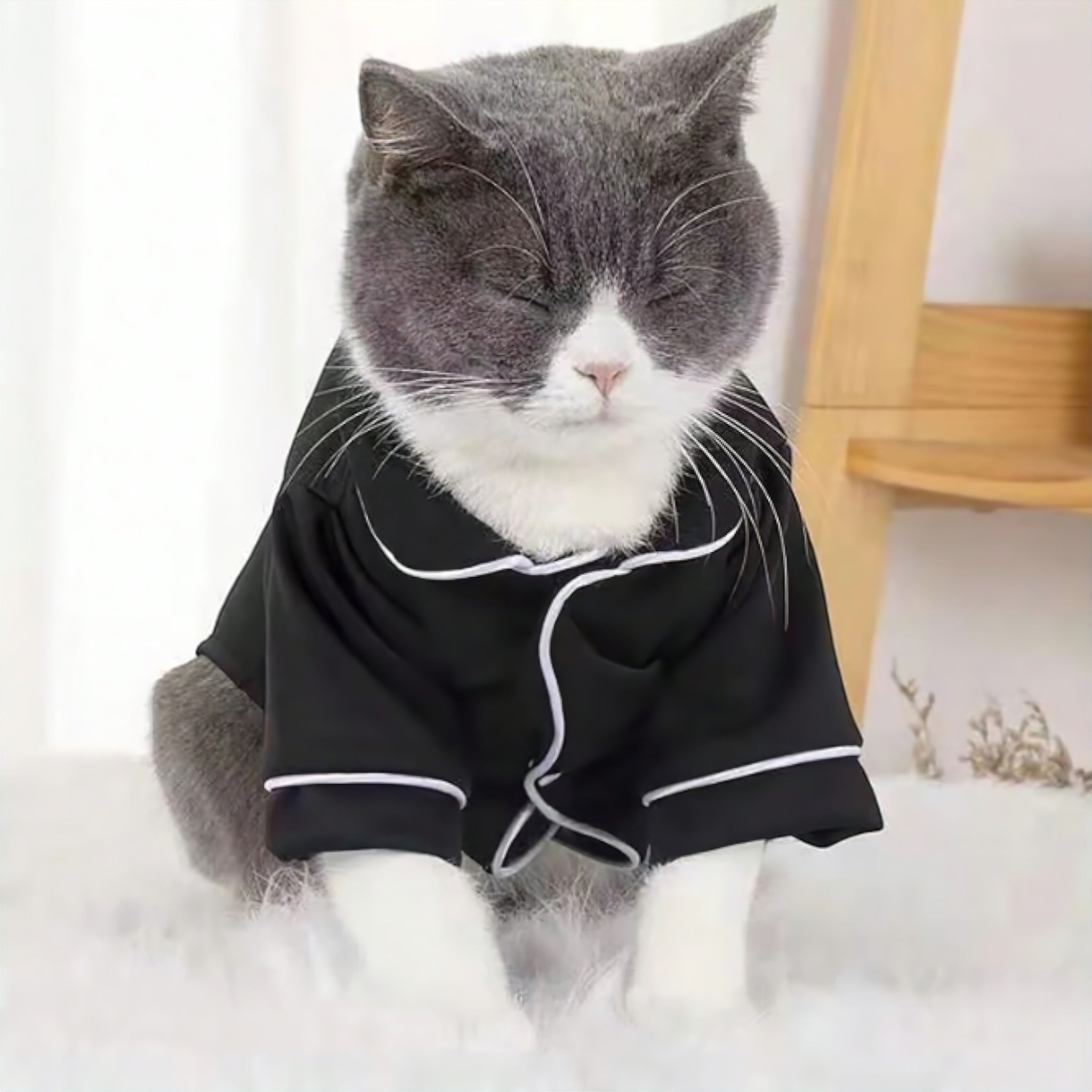 Hush Pet Sleepwear