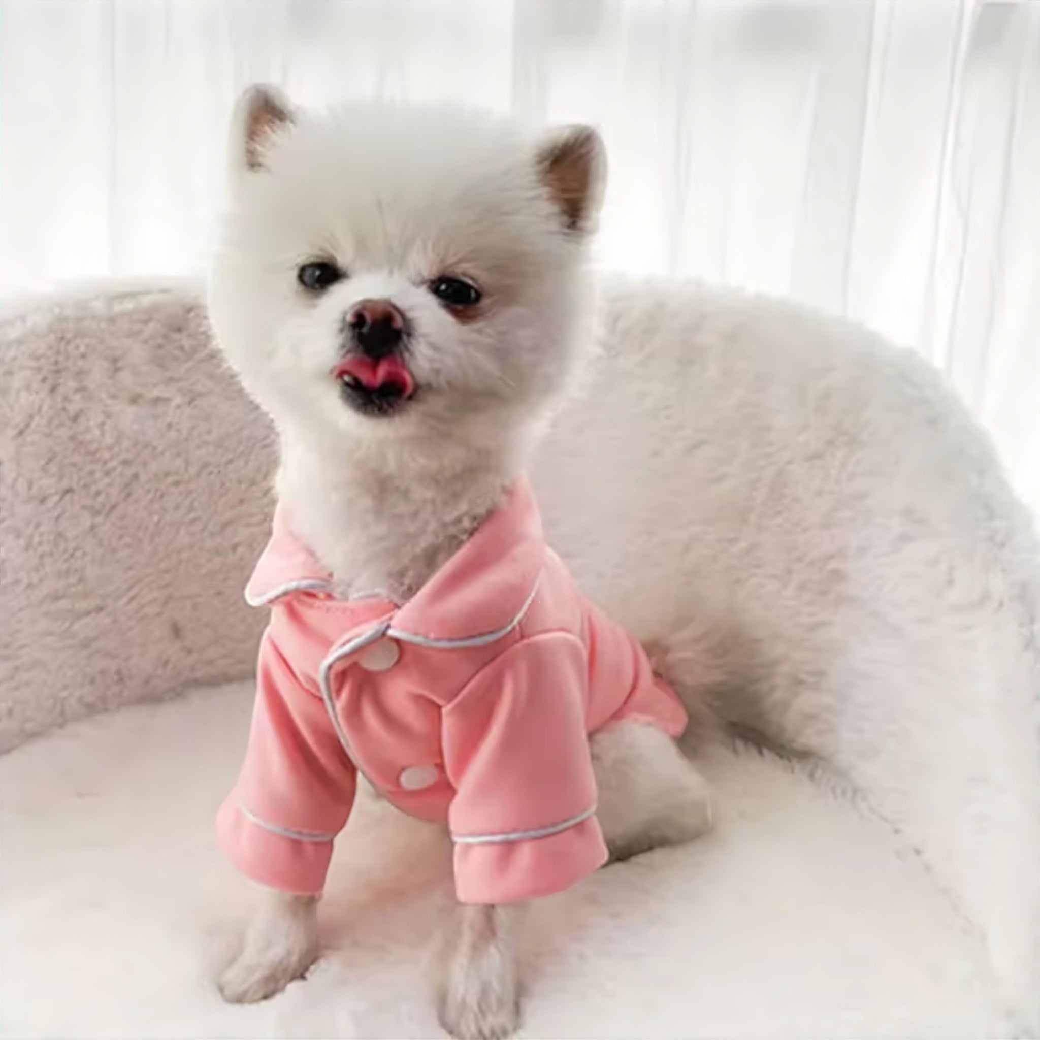 Hush Pet Sleepwear Luxe Pet Store | Tiny. Pure. Love. 