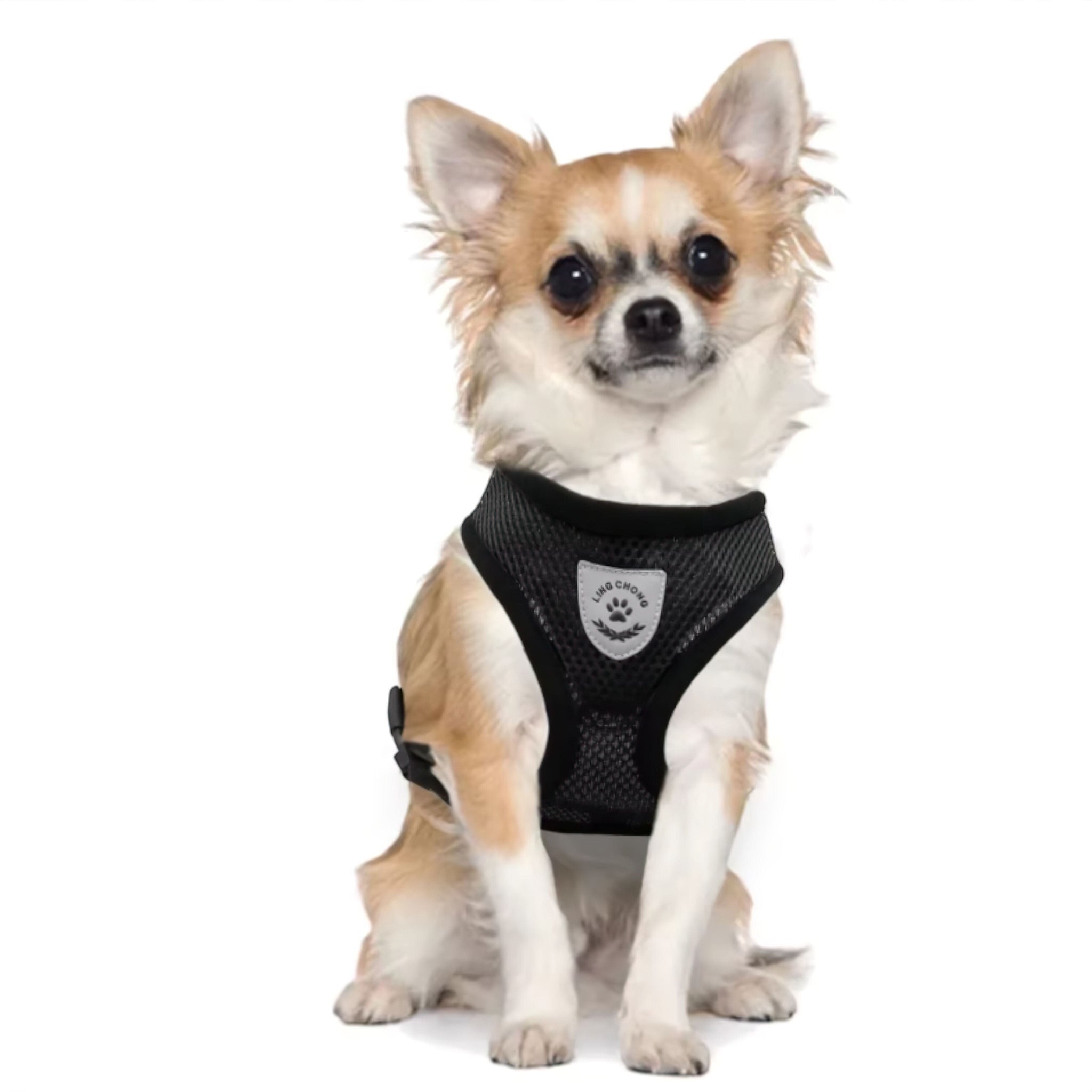 Pet Stride Gear Luxe Pet Store | Tiny. Pure. Love. 