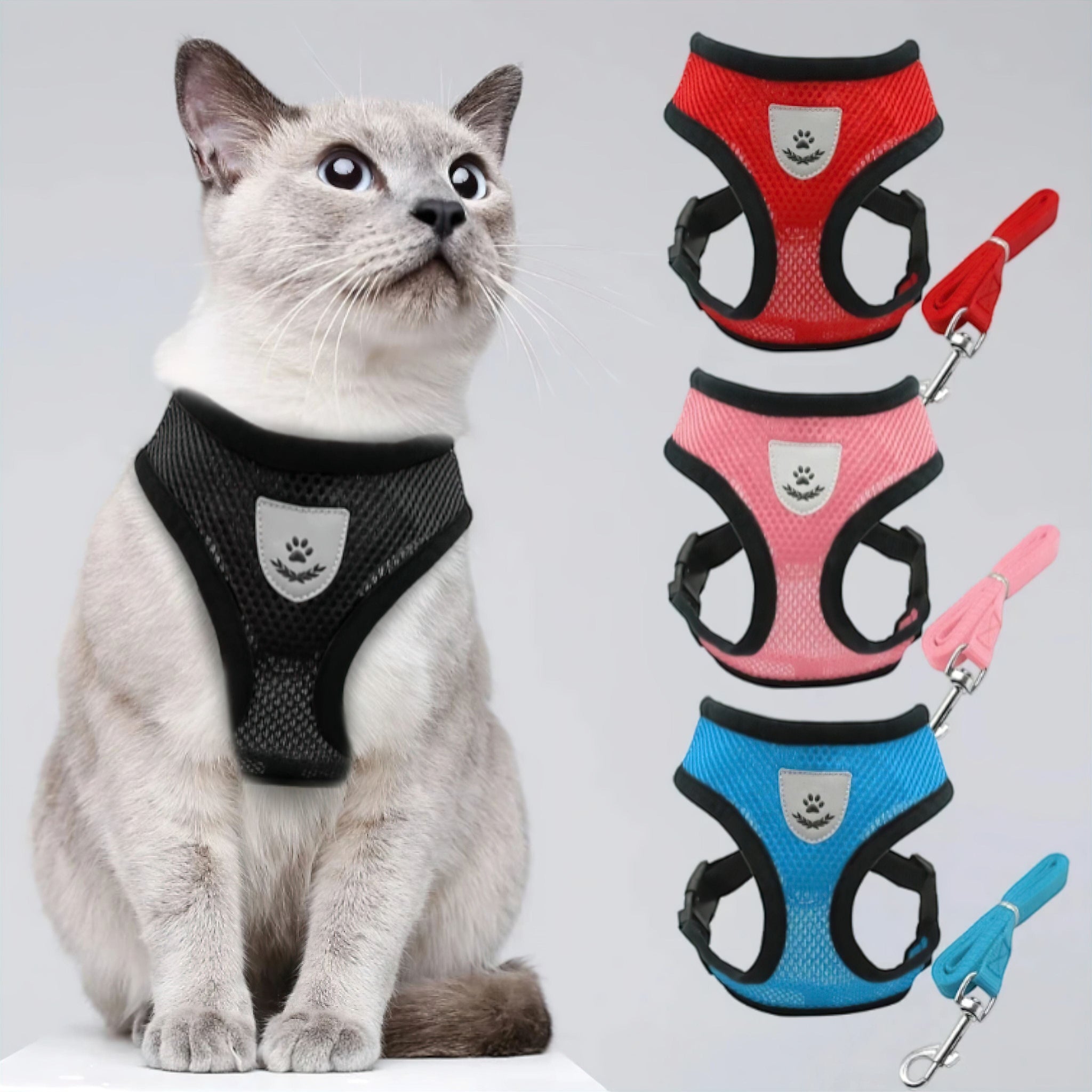 Pet Stride Gear Luxe Pet Store | Tiny. Pure. Love. 