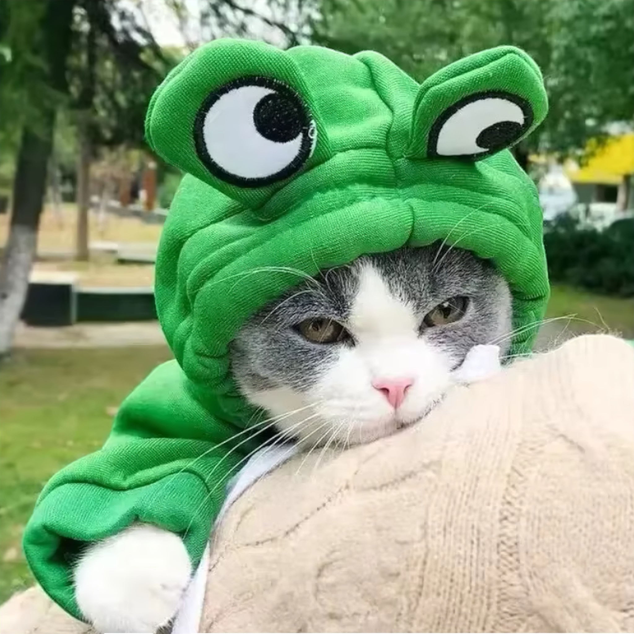 Frog Pet Hoodie