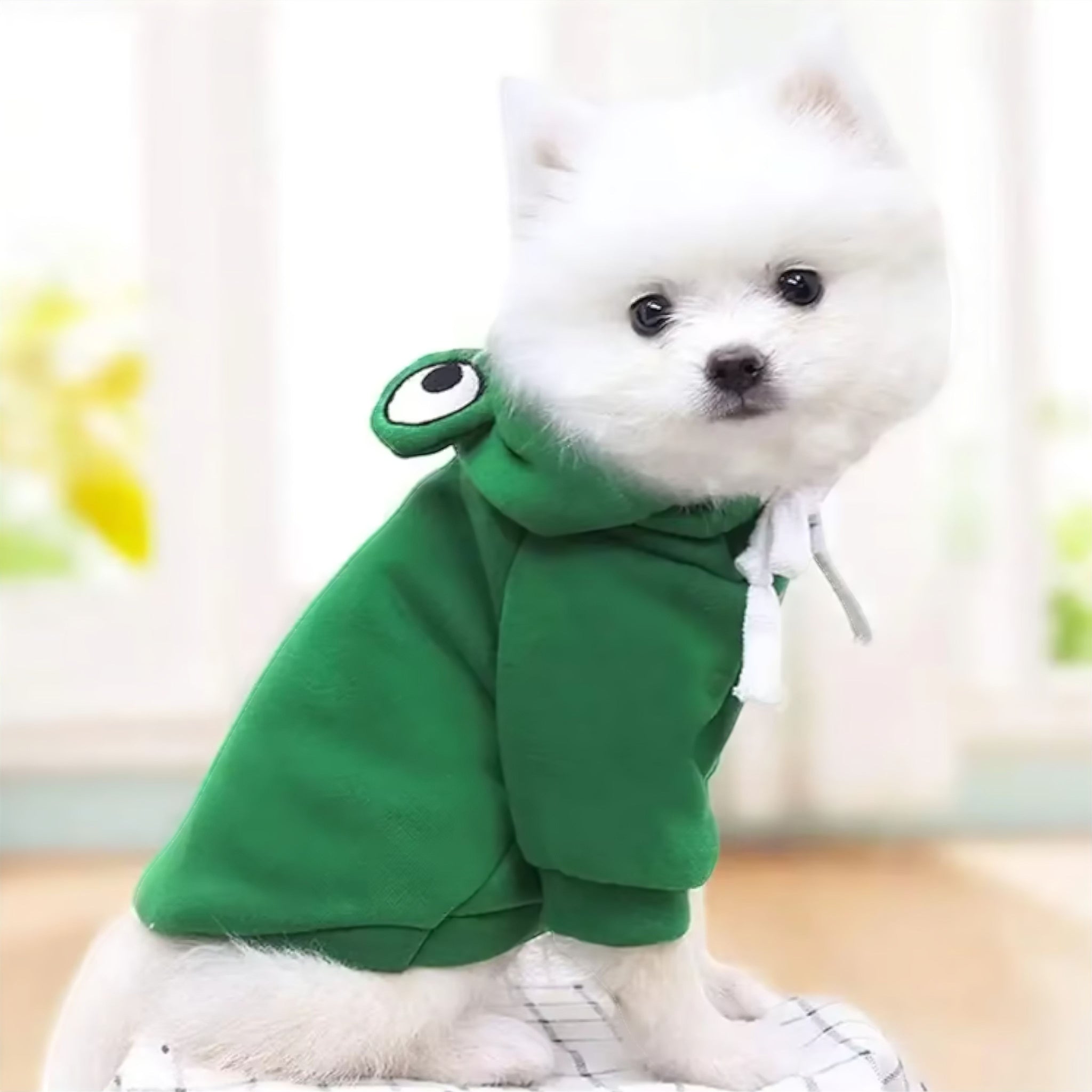 Frog Pet Hoodie