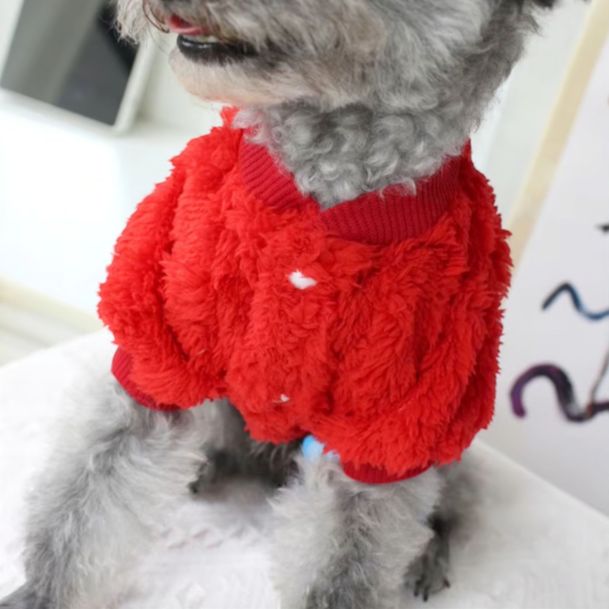 Winter Pet Sweater Pet Clothing Luxe Pet Store 