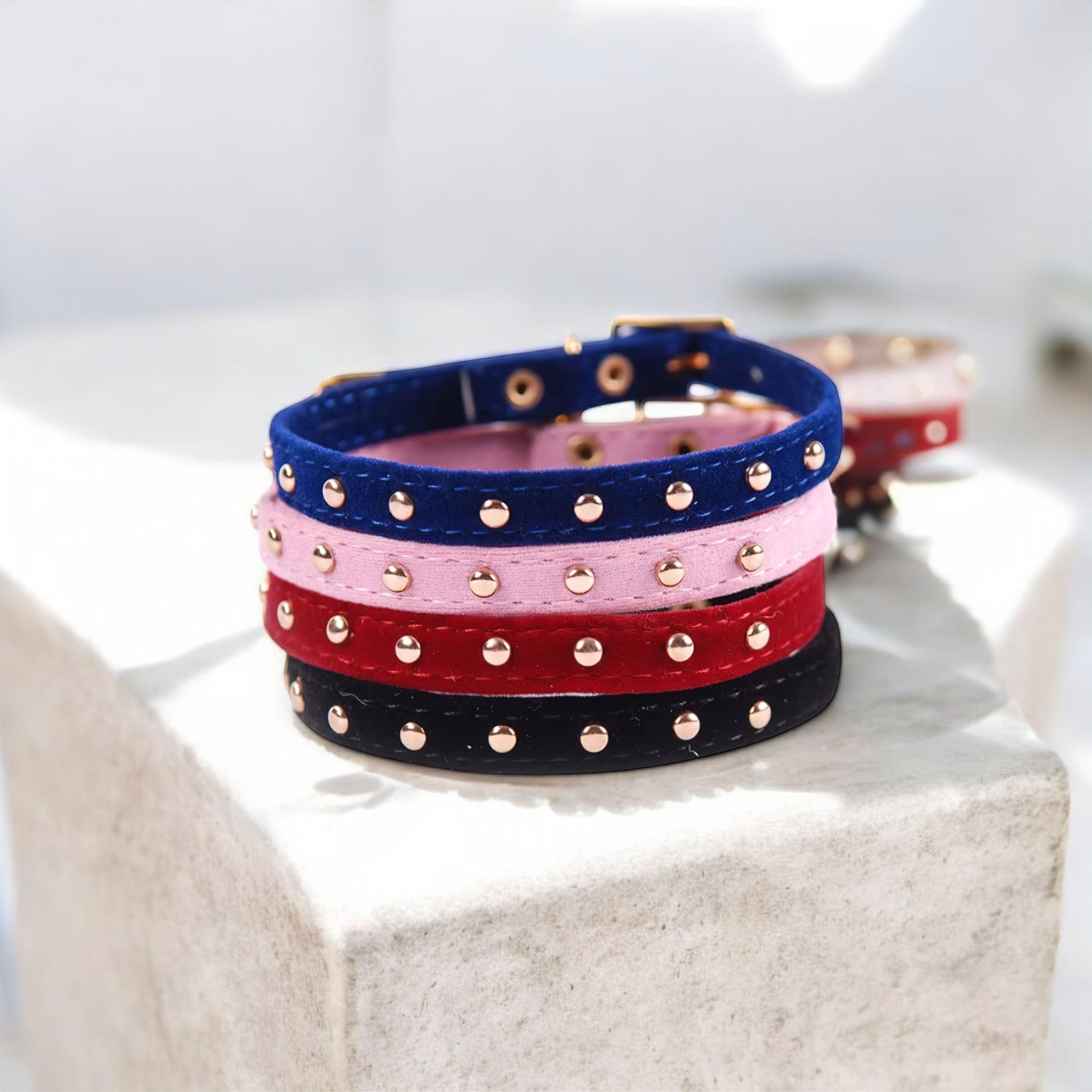 Studded Cat + Dog Collar Collar Luxe Pet Store 