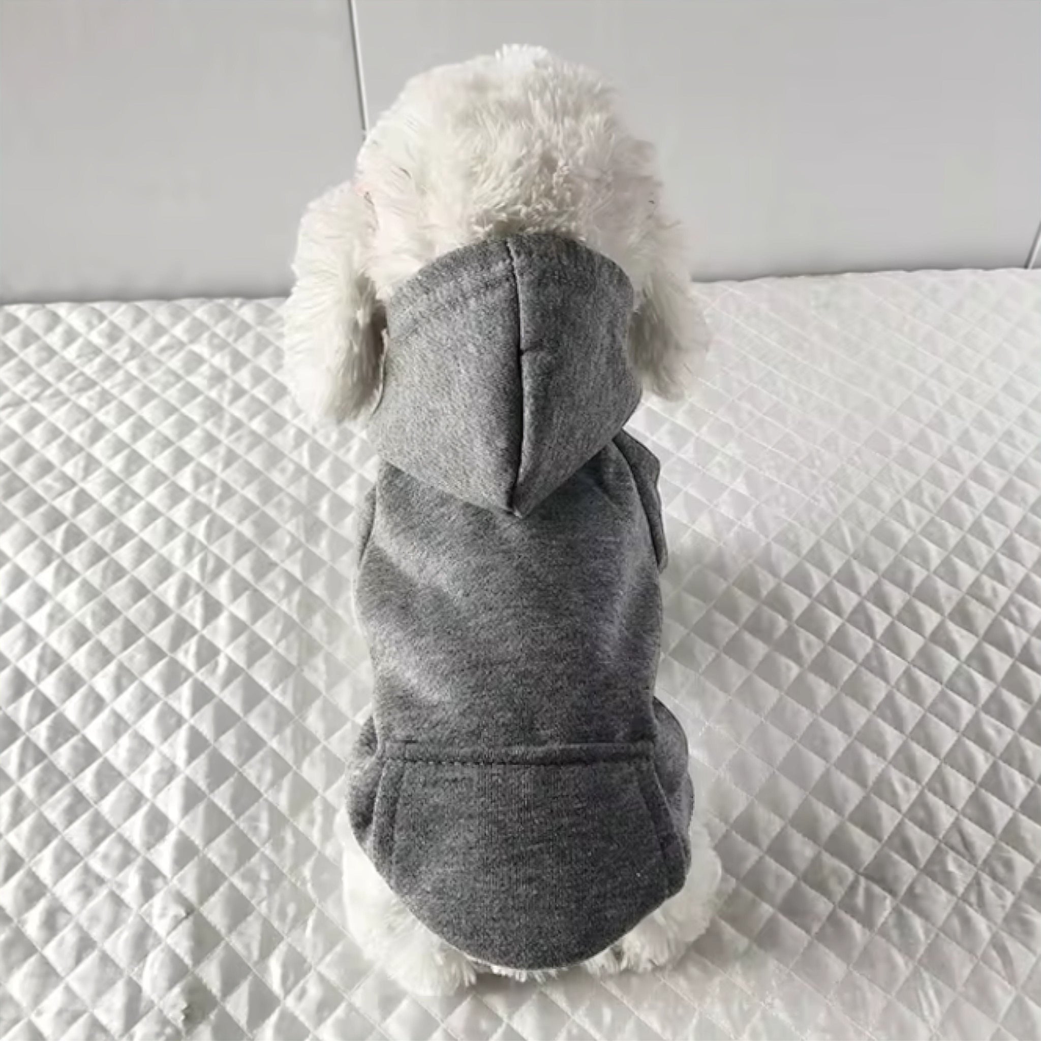 Furry Pet Coat Luxe Pet Store | Tiny. Pure. Love. 