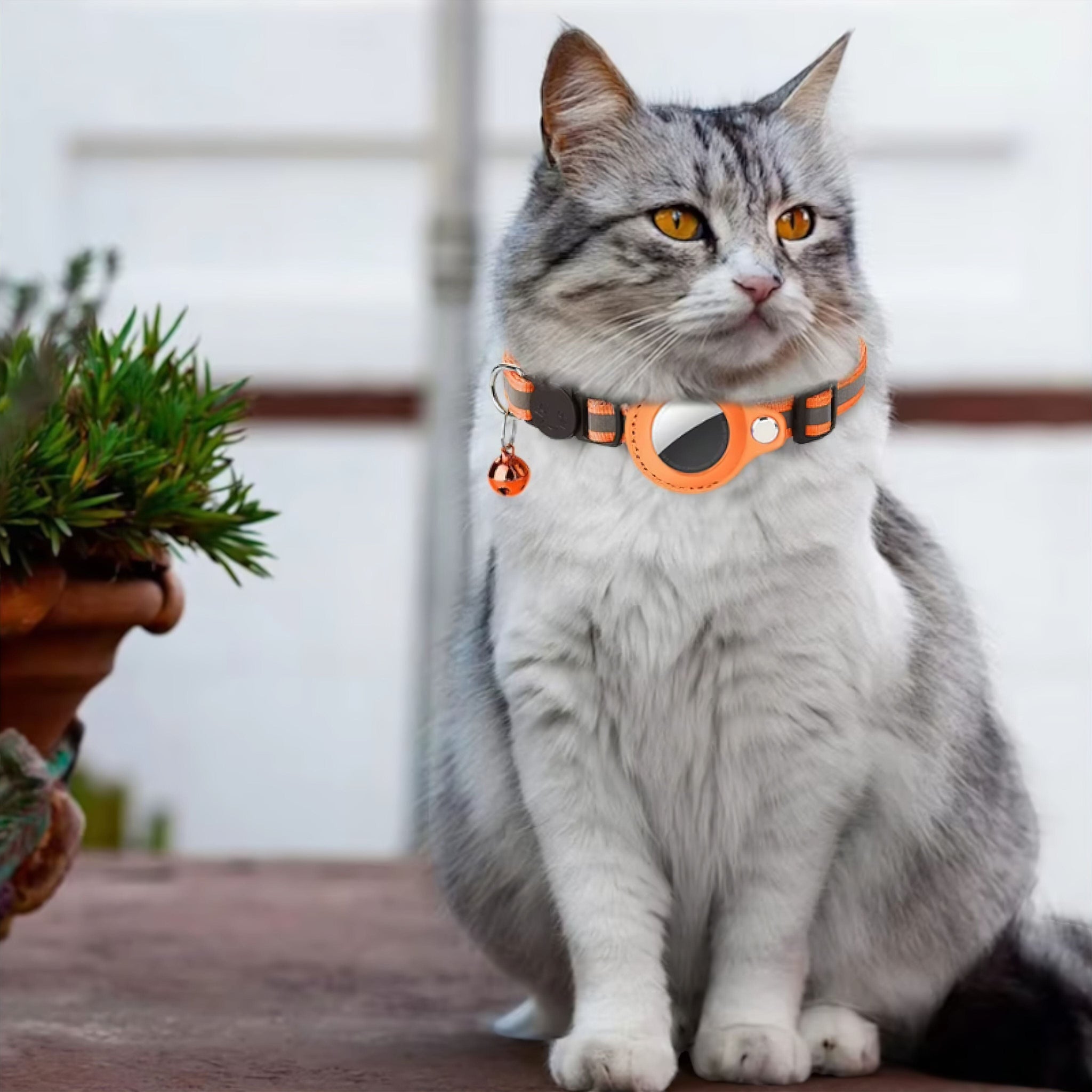 Pet Collar + AirTag Holder Cat Airtag Collar Luxe Pet Store 