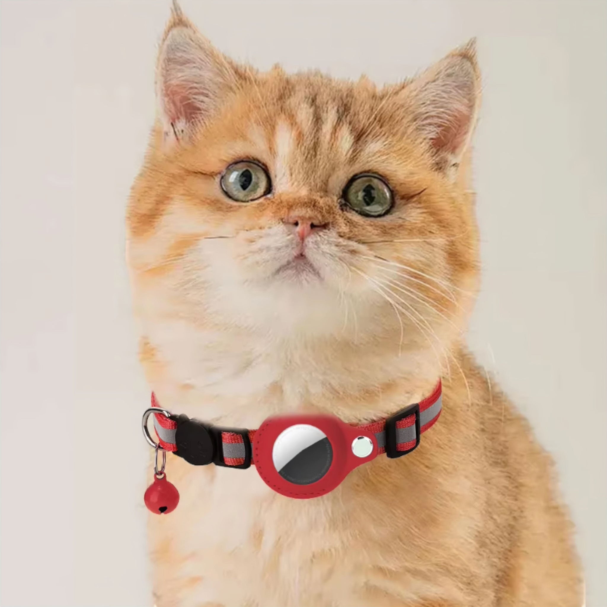 Pet Collar + AirTag Holder Cat Airtag Collar Luxe Pet Store 