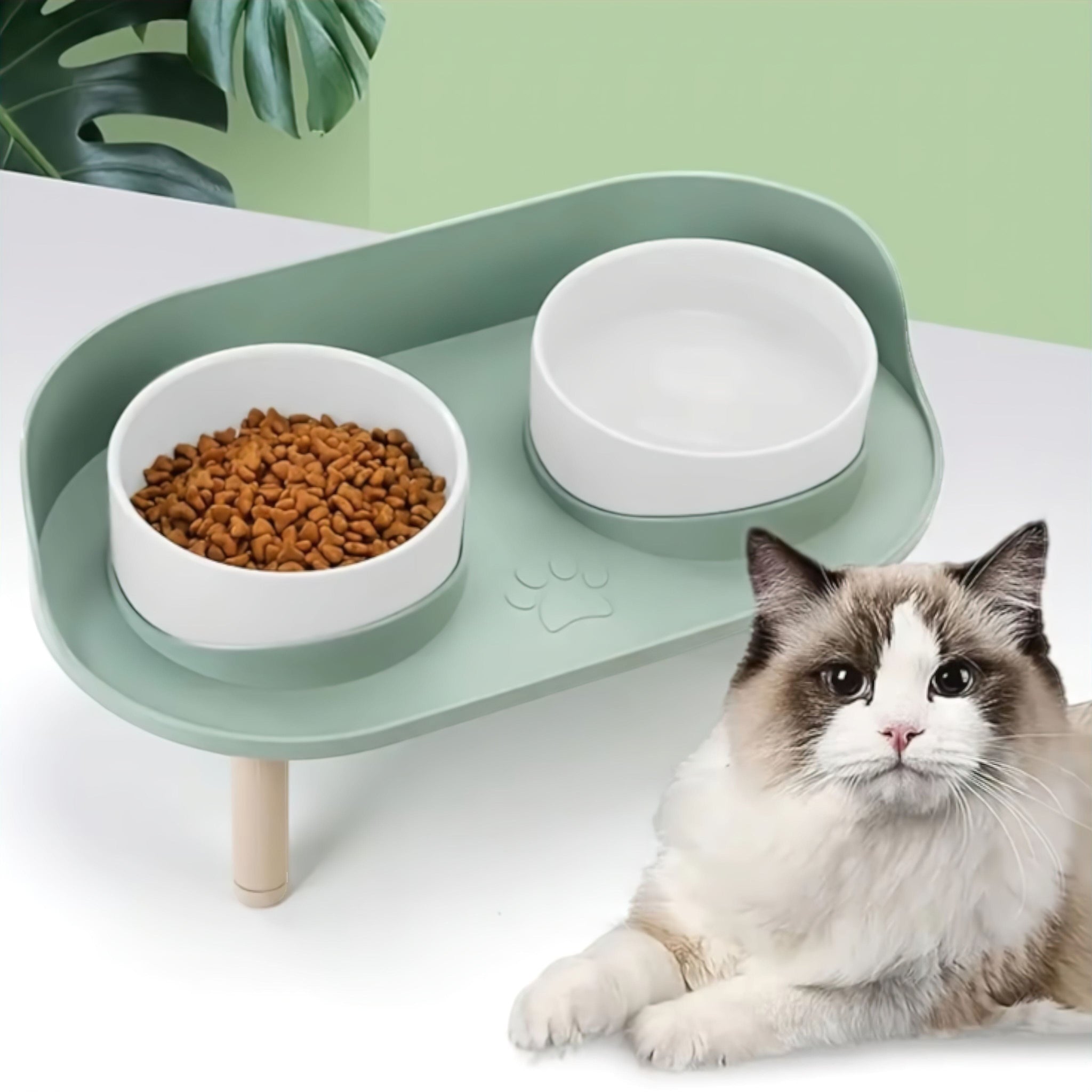 Paw Duo Bowl (JS) Luxe Pet Store | Tiny. Pure. Love. 