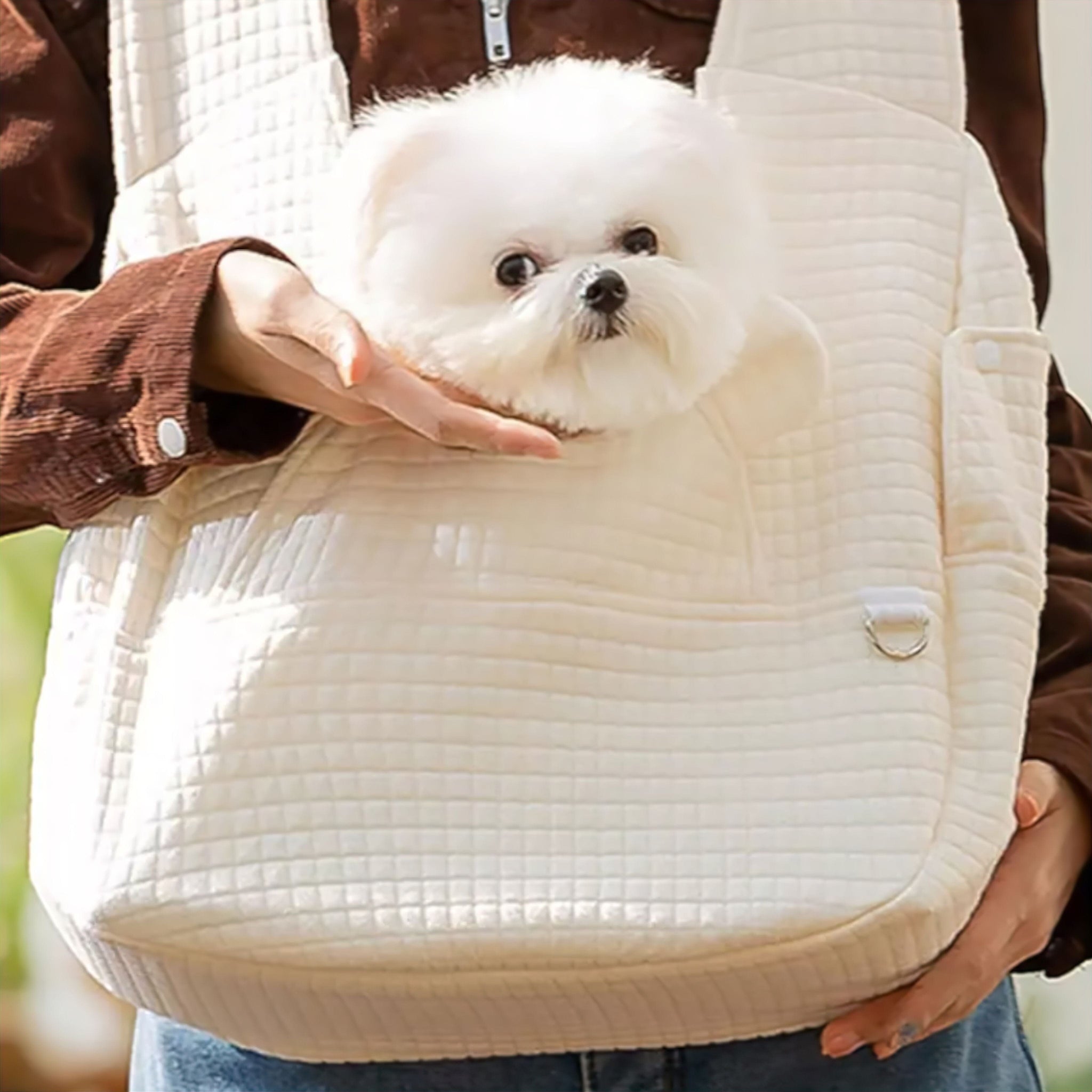 Adventurer Pet Bag (JS) Luxe Pet Store | Tiny. Pure. Love. 