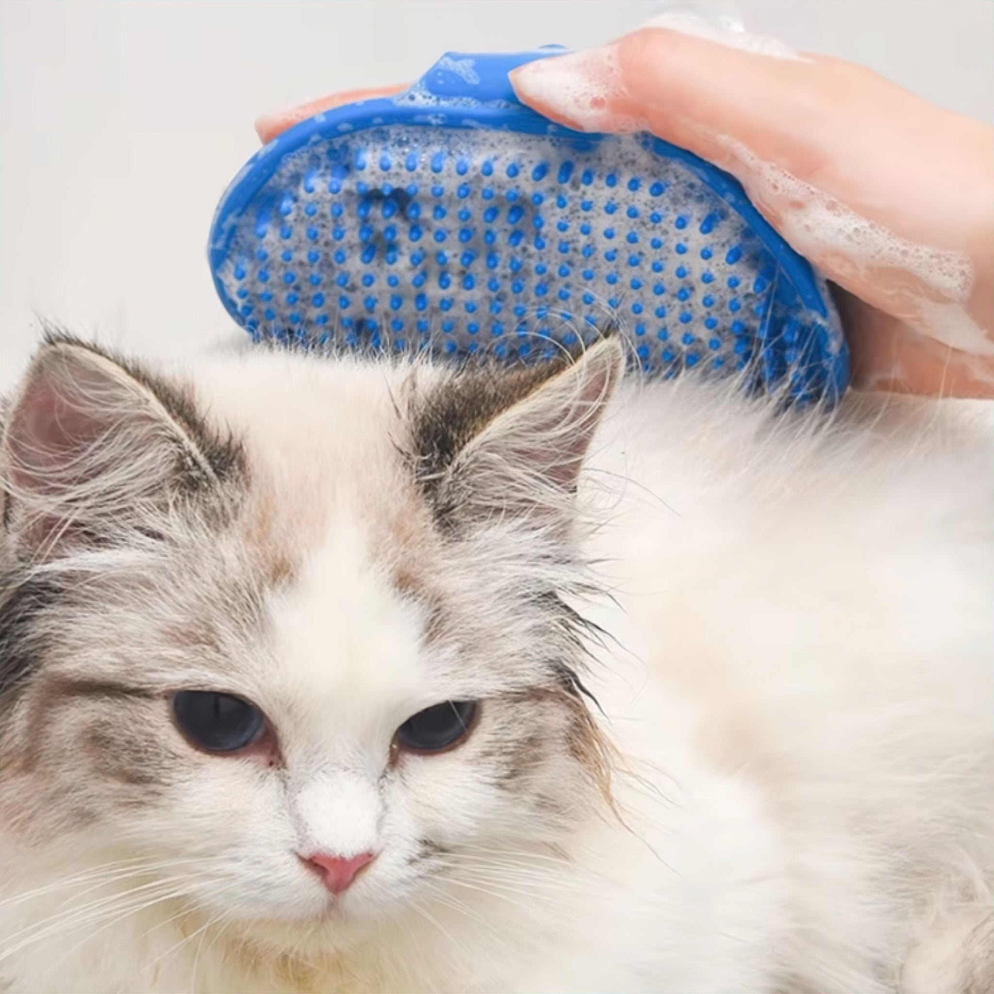 Pet Pampering Brush (JS) Luxe Pet Store | Tiny. Pure. Love. 