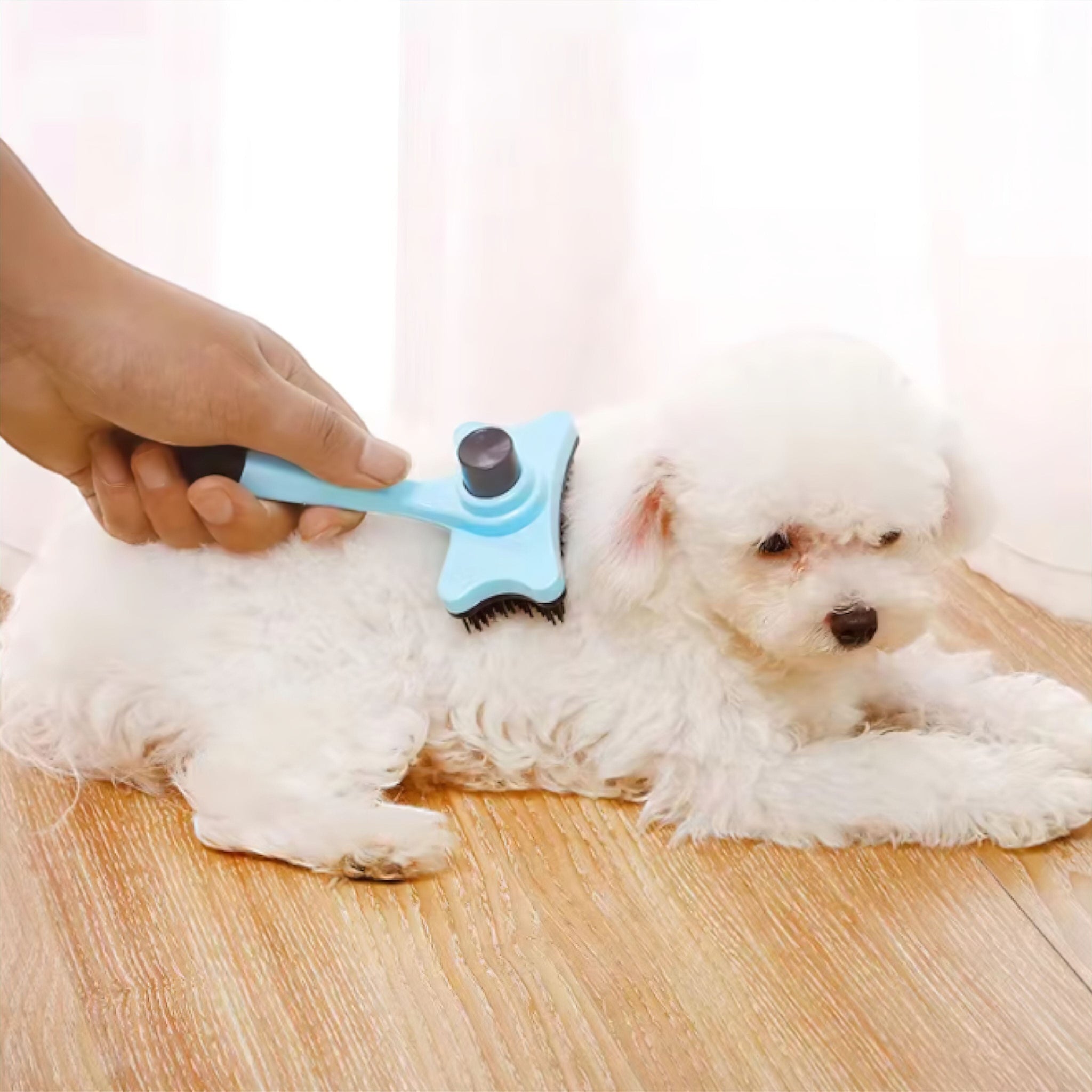 Tidy Grooming Brush Luxe Pet Store | Tiny. Pure. Love. 