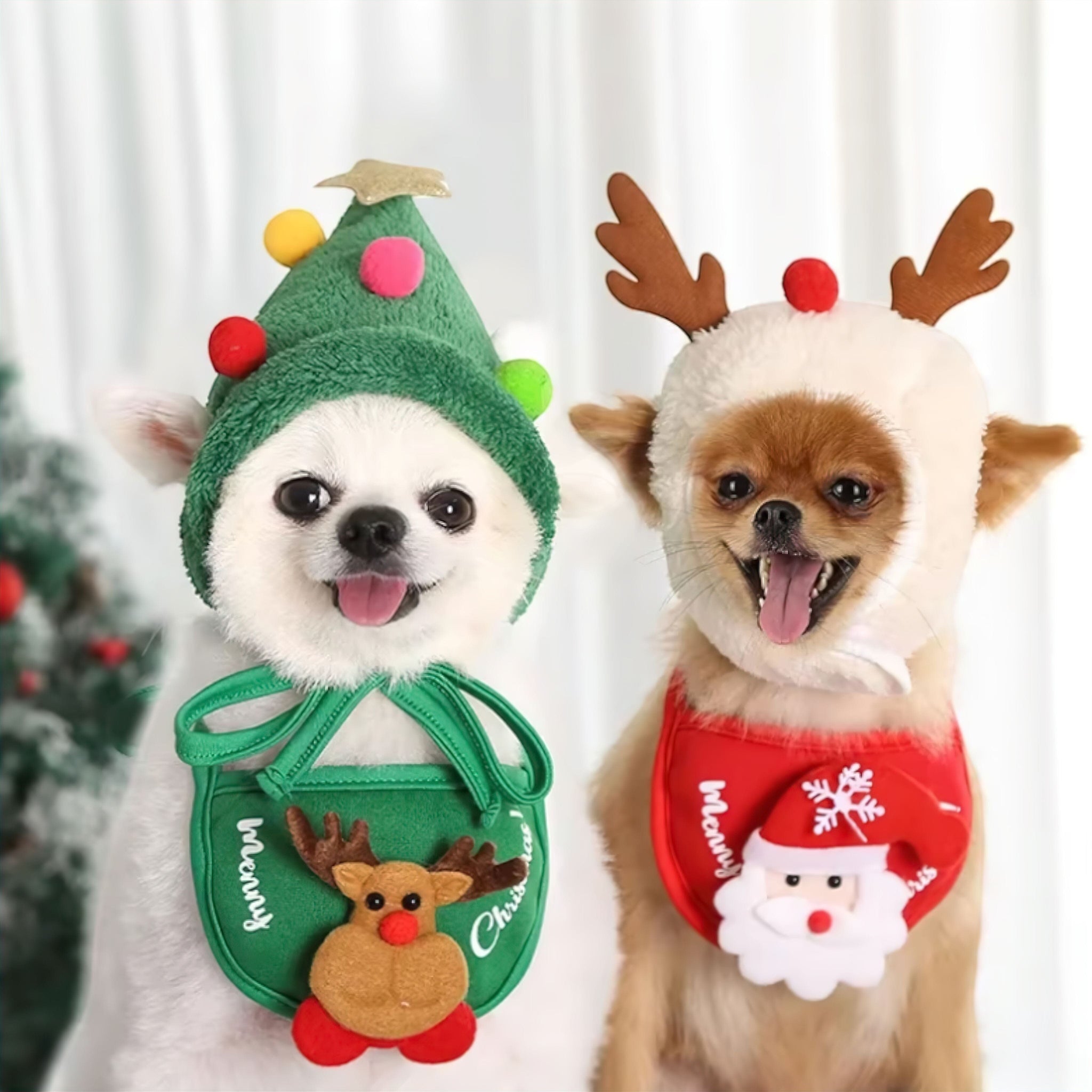 Santa Pet Outfit (JS) Luxe Pet Store | Tiny. Pure. Love. 