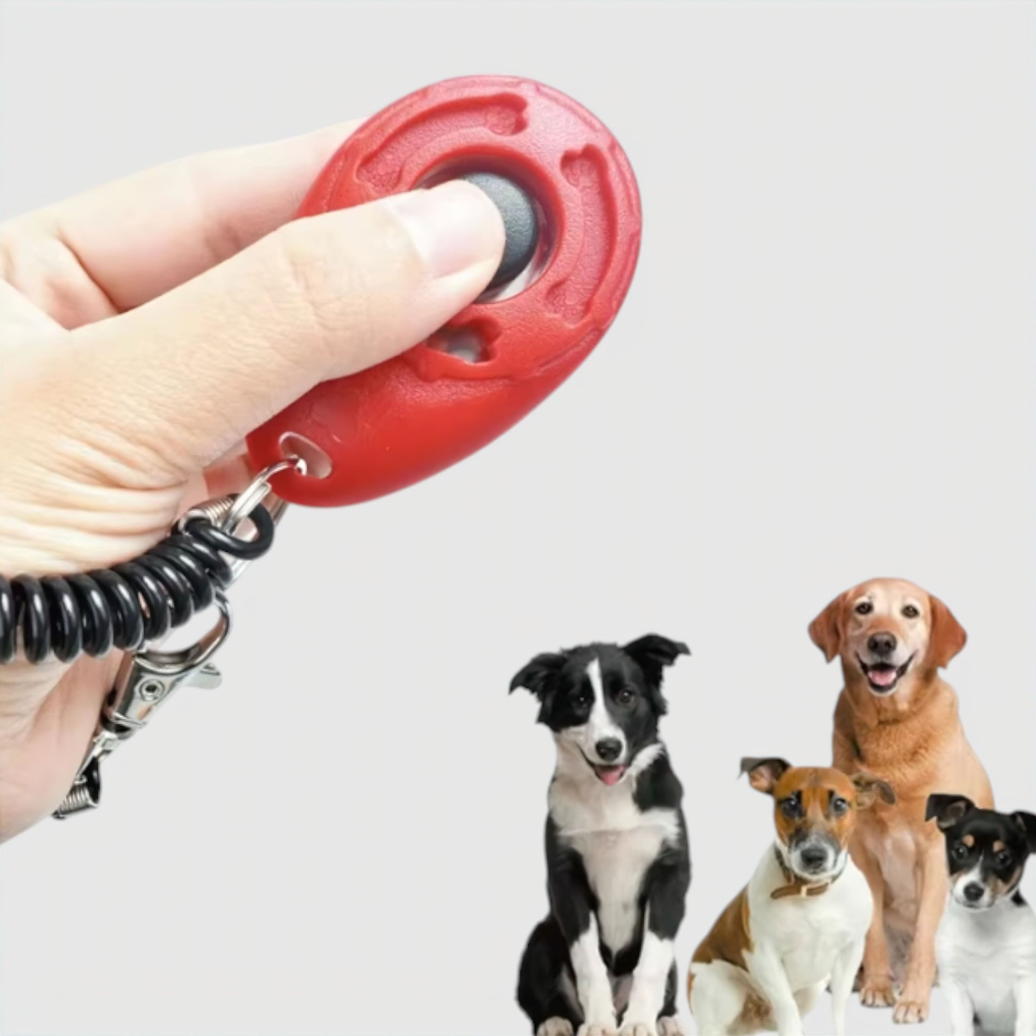 Clicker Sound Trainer (JS) Luxe Pet Store | Tiny. Pure. Love. 