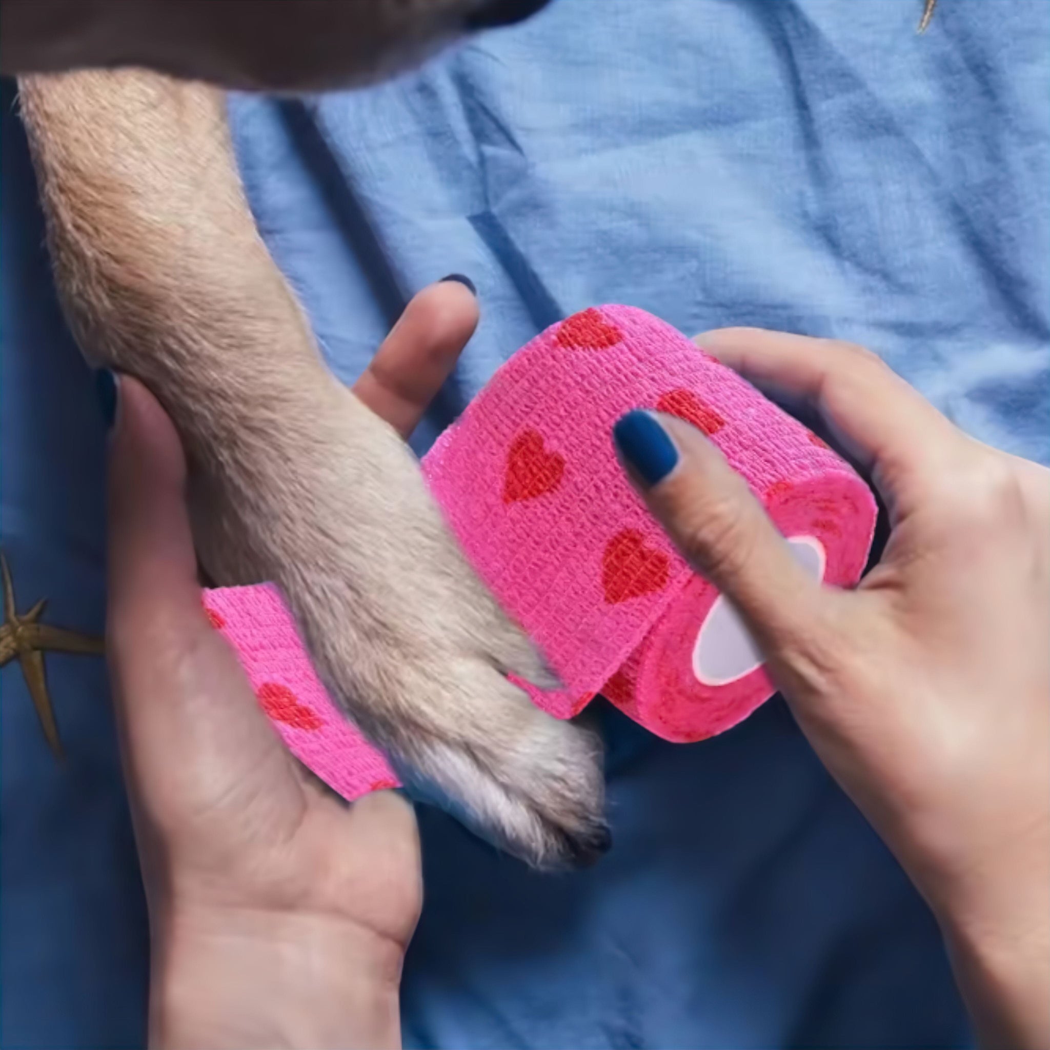 Pet Cuddle Bandage Luxe Pet Store | Tiny. Pure. Love. 