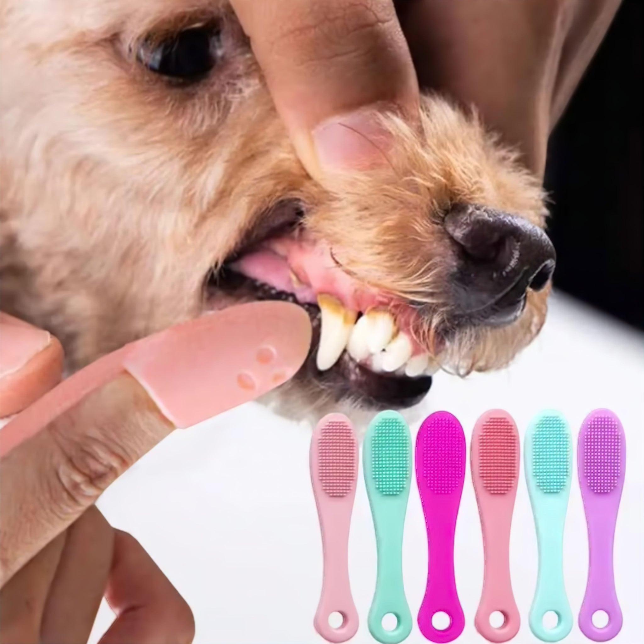 Pet Care Tooth Brush Luxe Pet Store | Tiny. Pure. Love. 