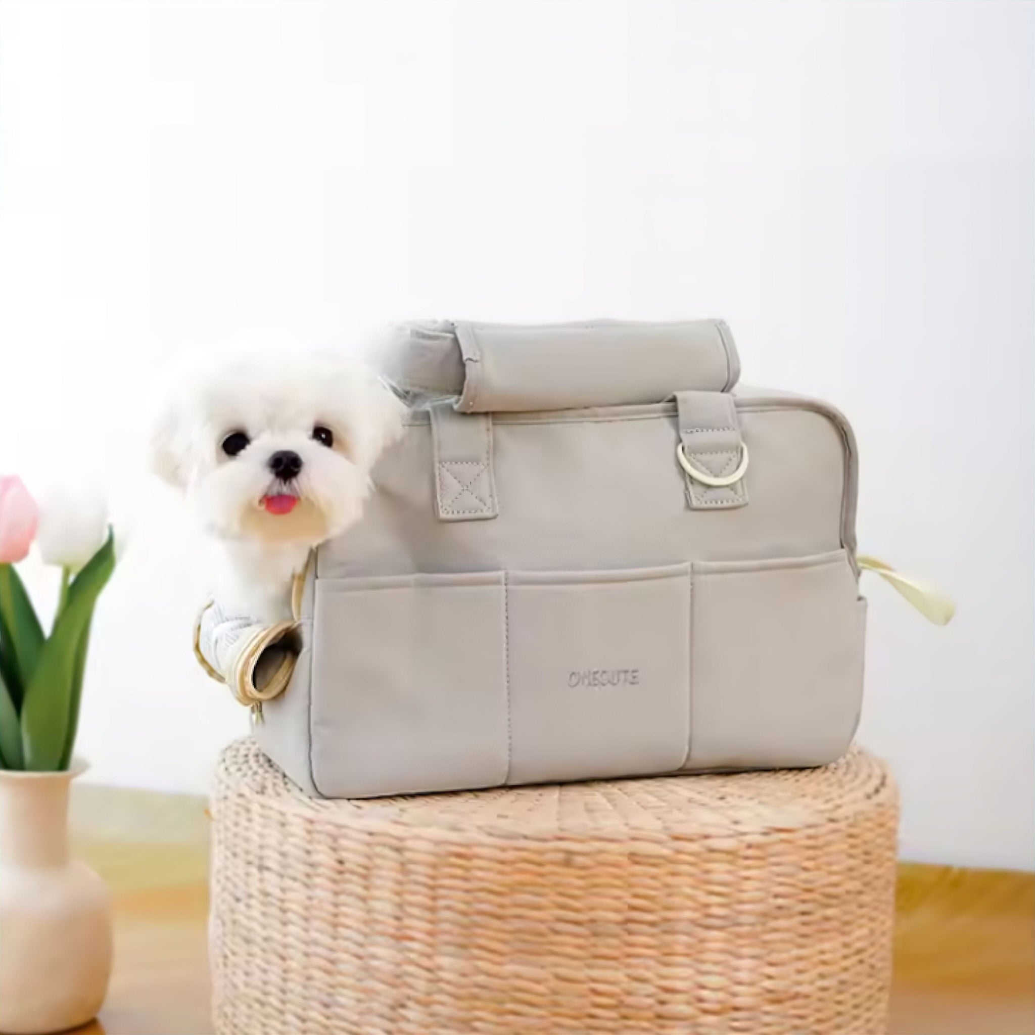 Little Friend Carrier Luxe Pet Store | Tiny. Pure. Love. 