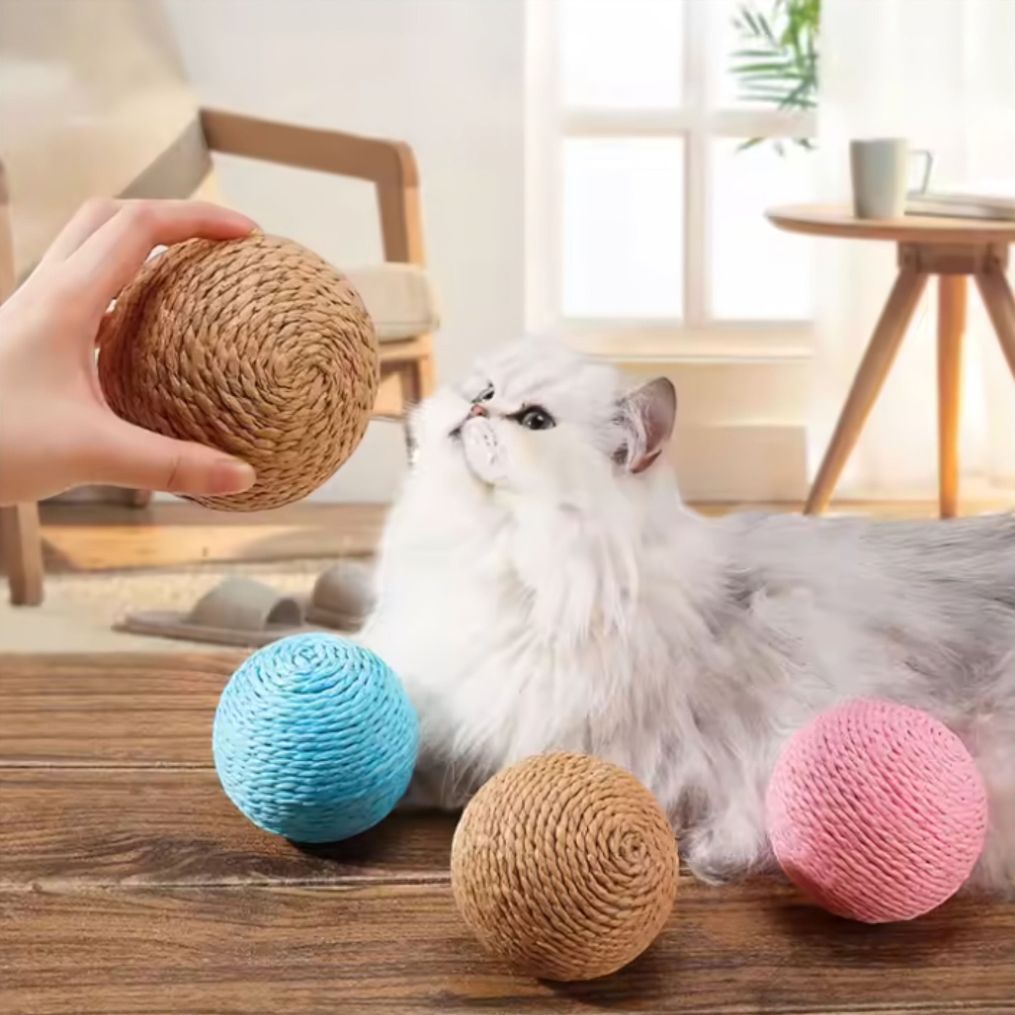 Pet Activity Ball Luxe Pet Store | Tiny. Pure. Love. 