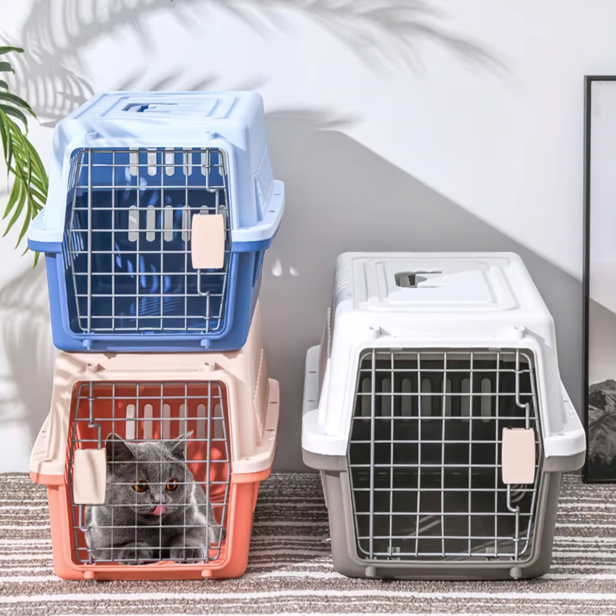 Pet Carry Cage Luxe Pet Store | Tiny. Pure. Love. 