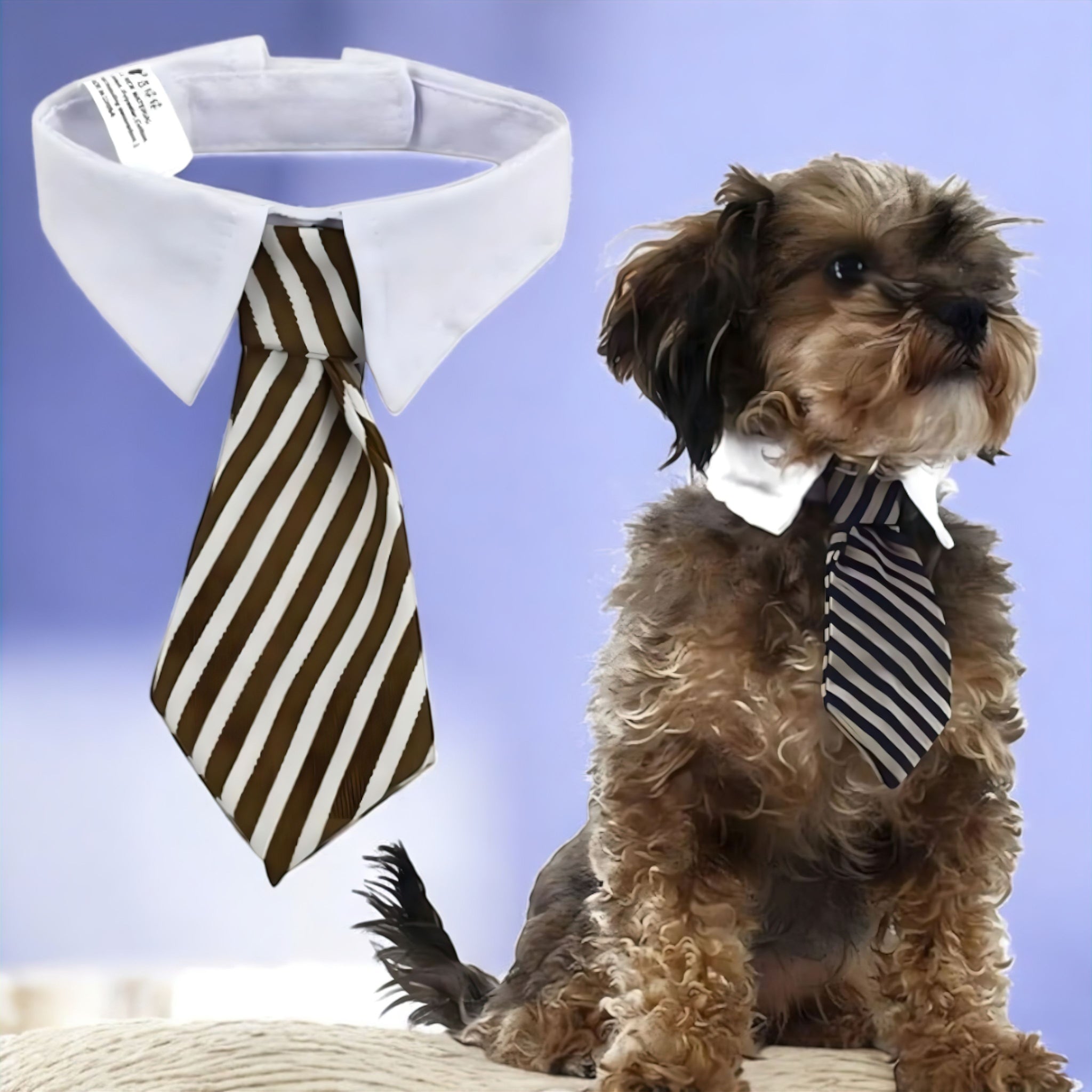 Pet Tie Collar