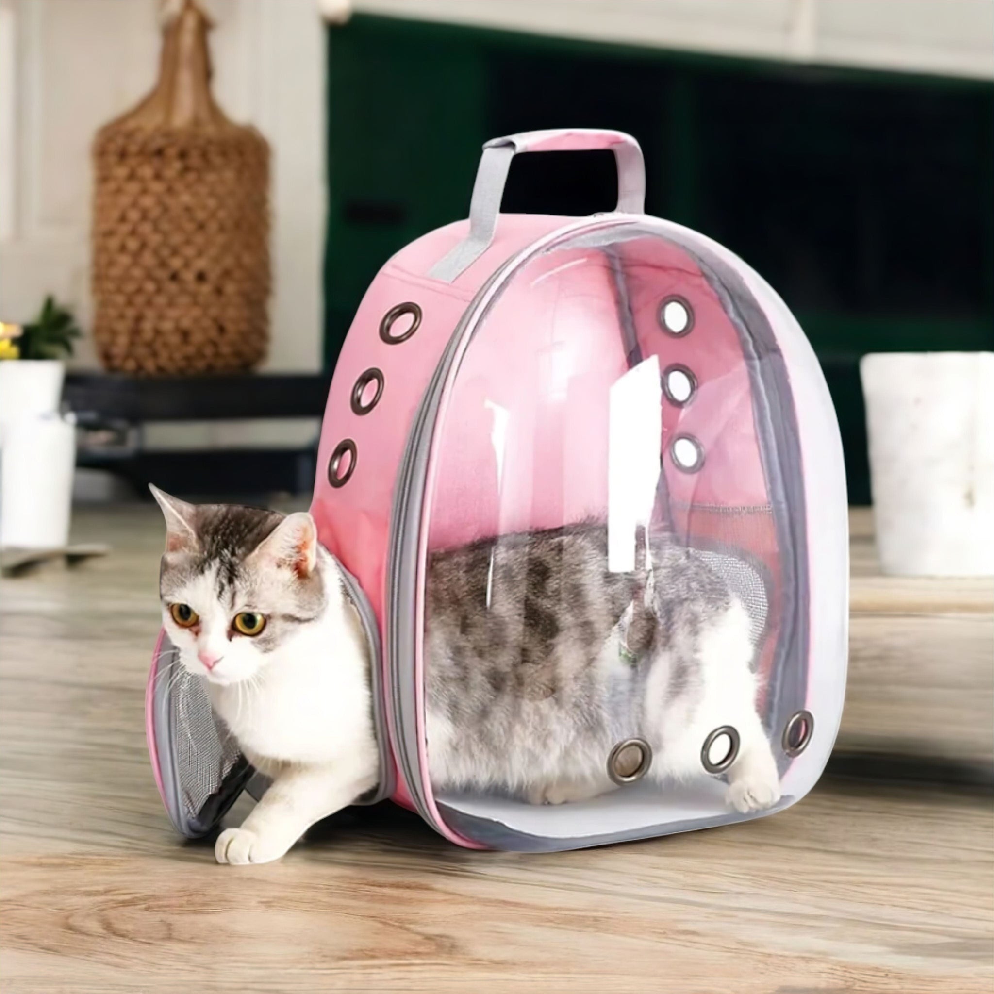 Bubble Travel Backpack (JS) display image edit done Pet Travel Bag Luxe Pet Store 